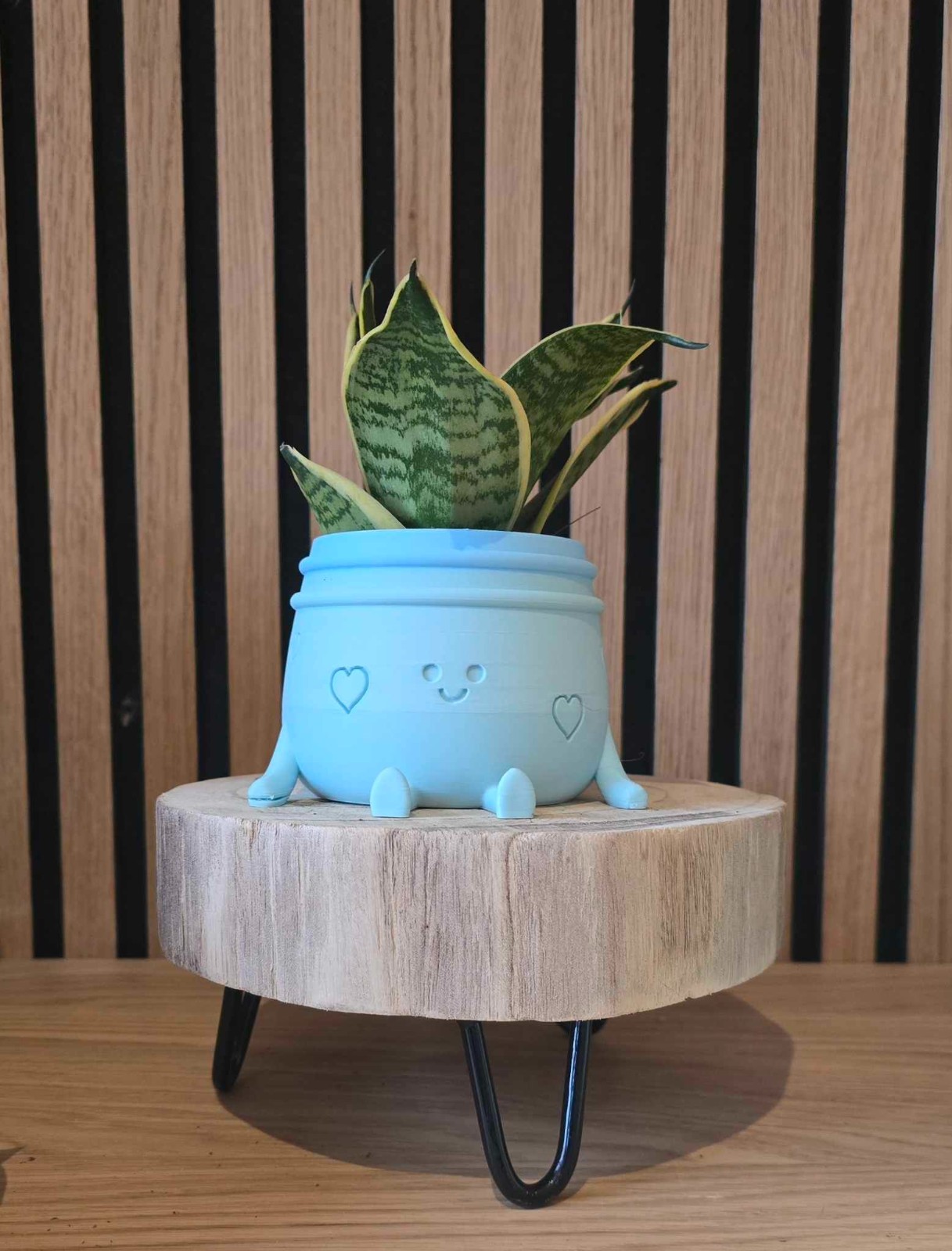 Planti Potti – vrolijk 3D-geprint bloempotje met gezichtje