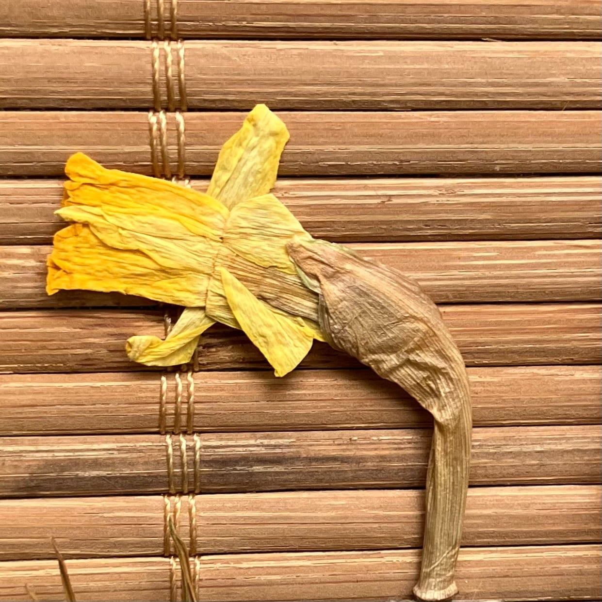 Wandhanger gemaakt op naturel bamboematje met gedroogde bloemen - Botanische Bamboe Kunst - Boho Natuurlijk - Geperste Bloemen