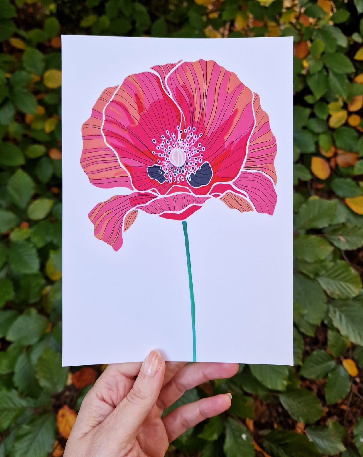 Klaproos A5 Print, Rode Bloem Illustratie