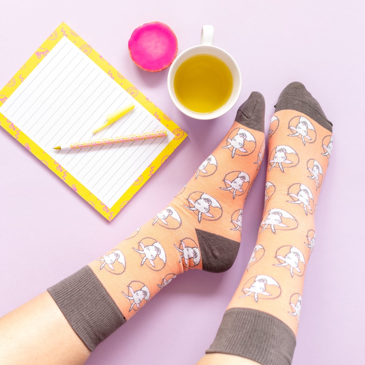 Sokken - Gerrit de Geit