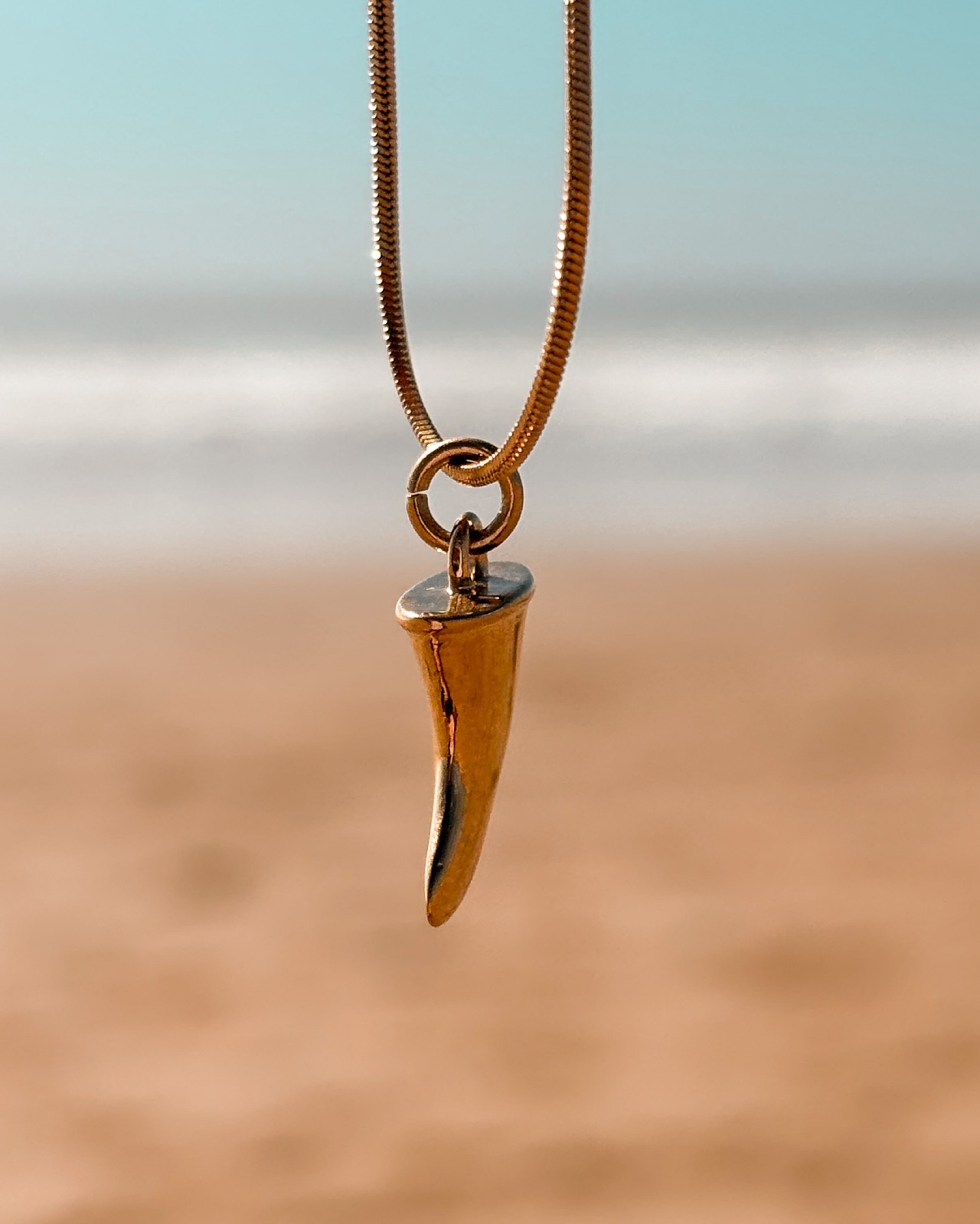 Oceaan Vin ketting goud