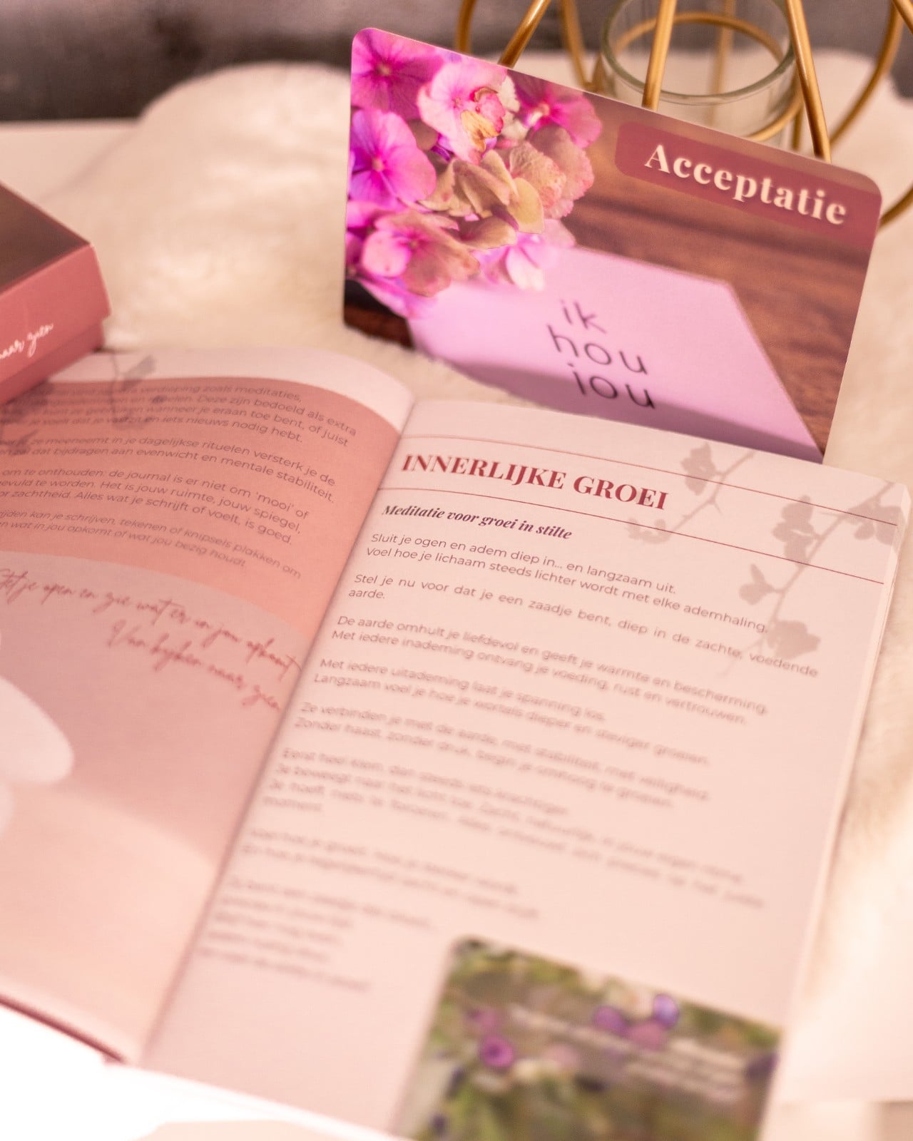 BinnenBeeld Journal - Schrijf, Voel & Groei