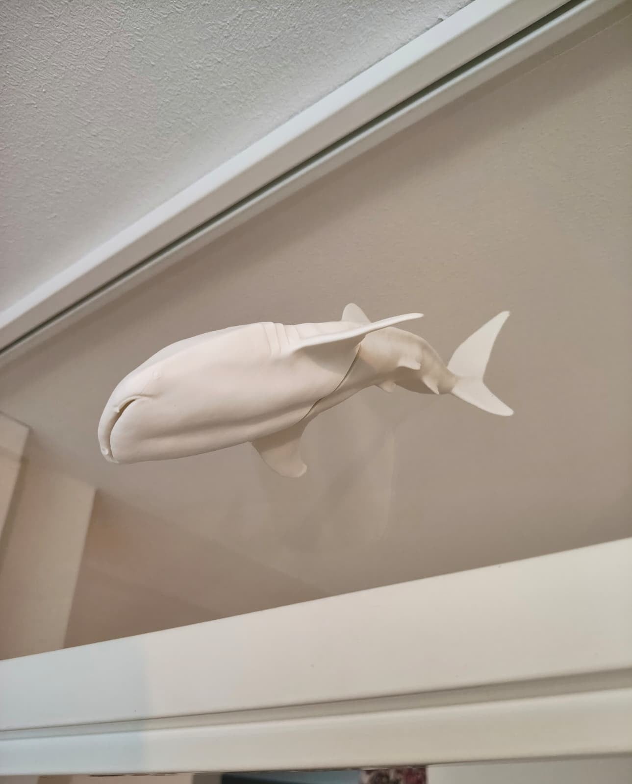 Whaleshark window art - White