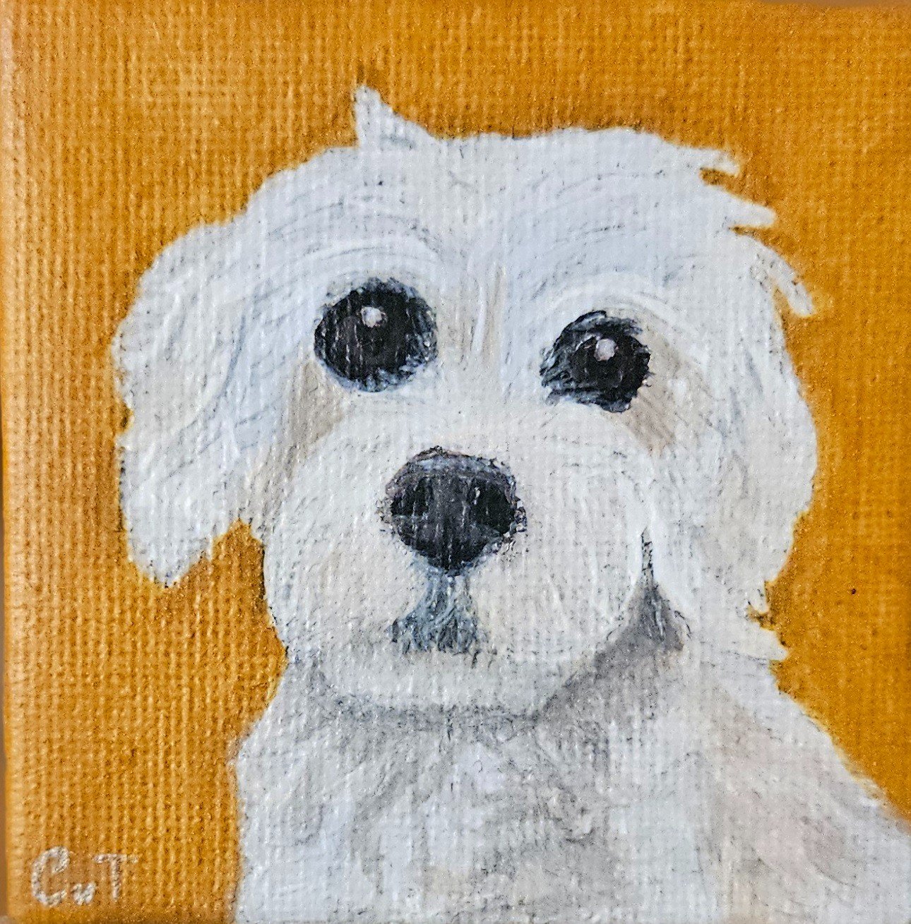 Gepersonaliseerd hondenportret kruising/mix/vuilnisbakkenras