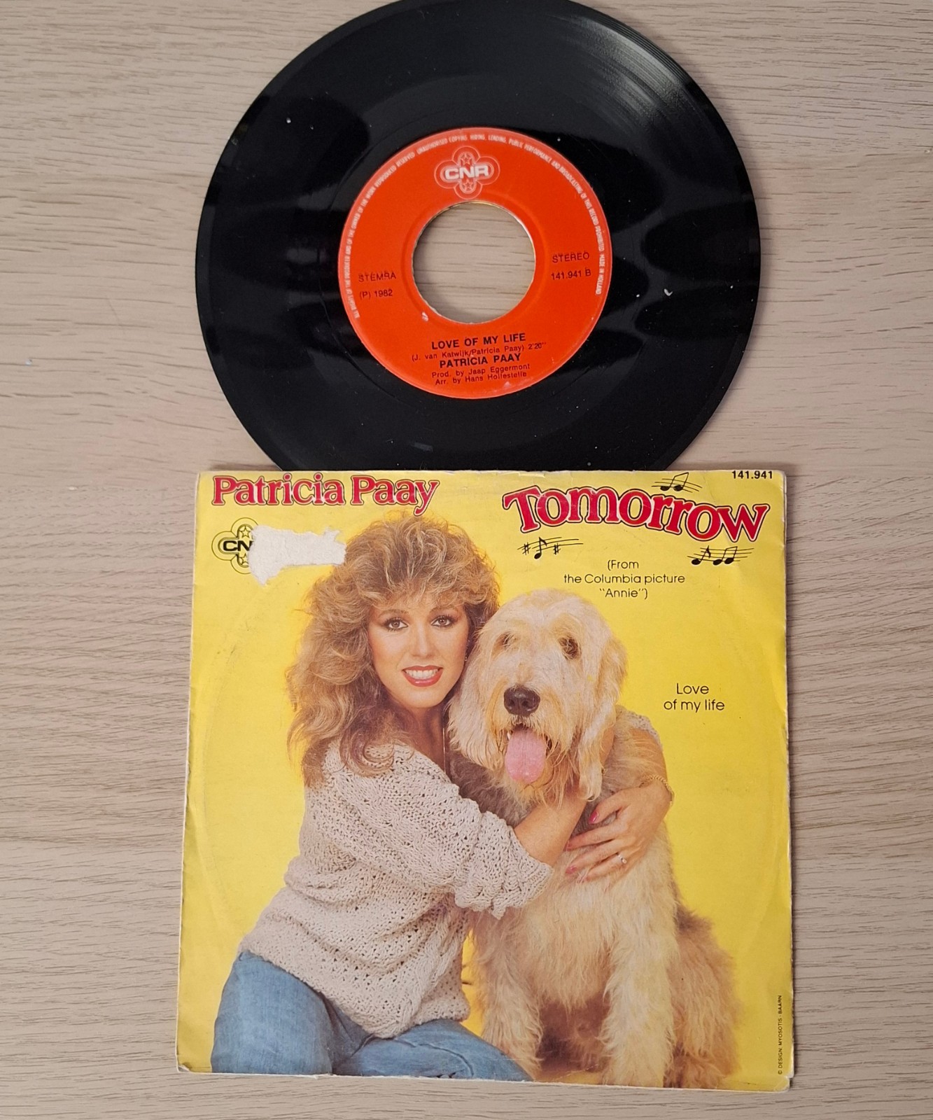 Kunst van vinyl: versierde LP 'Radiant Rainbow' - 84558 Kunst van vinyl: versierde LP 'Radiant Rainbow'