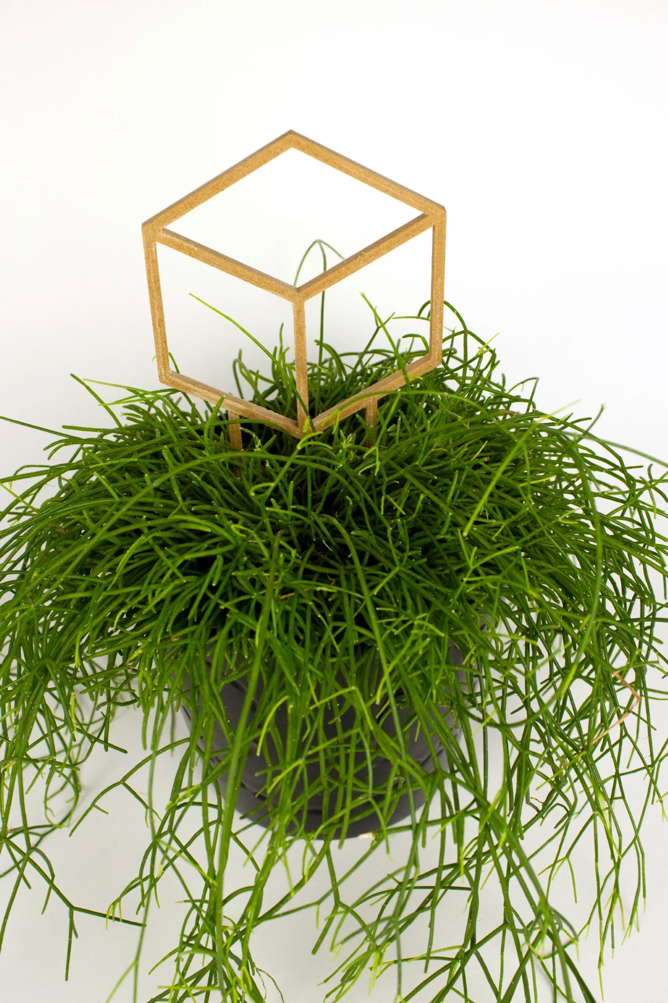 Cubus decoratieve plantensteun - 15244 Cubus decoratieve plantensteun