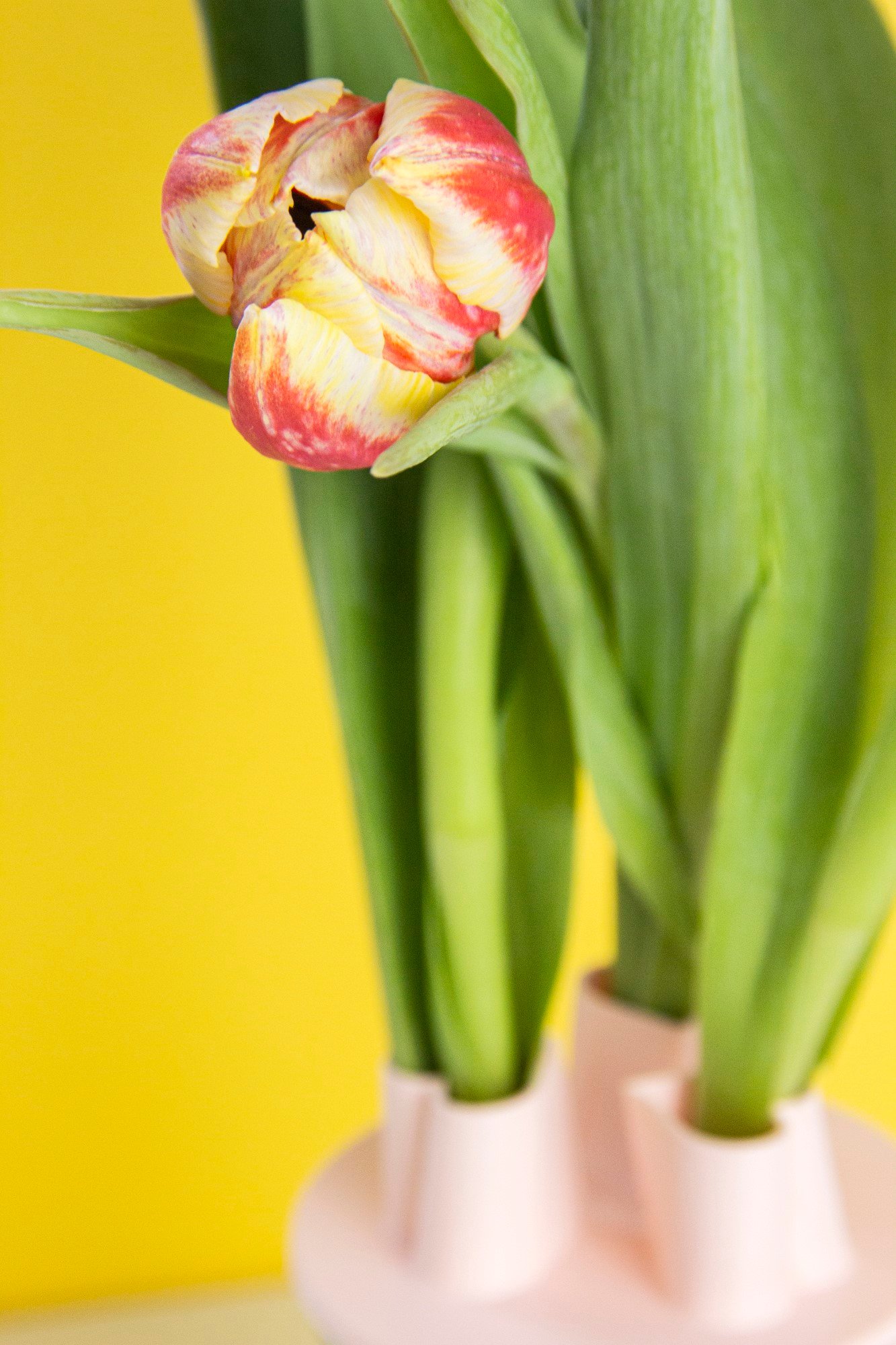 Klein hart tulpenvaas deksel  | Tulpenvaas accessoire | Bloemhouder - 15227 Klein hart tulpenvaas deksel  | Tulpenvaas accessoire | Bloemhouder