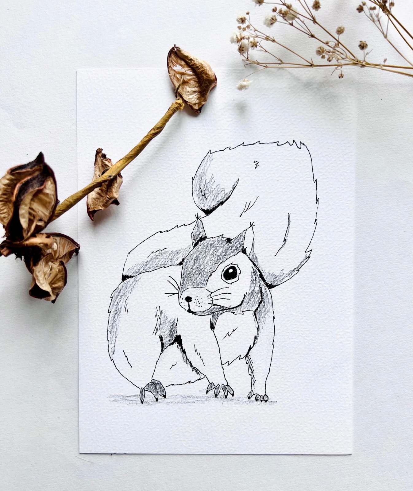 Kaart eekhoorn - 82450 Kaart eekhoorn