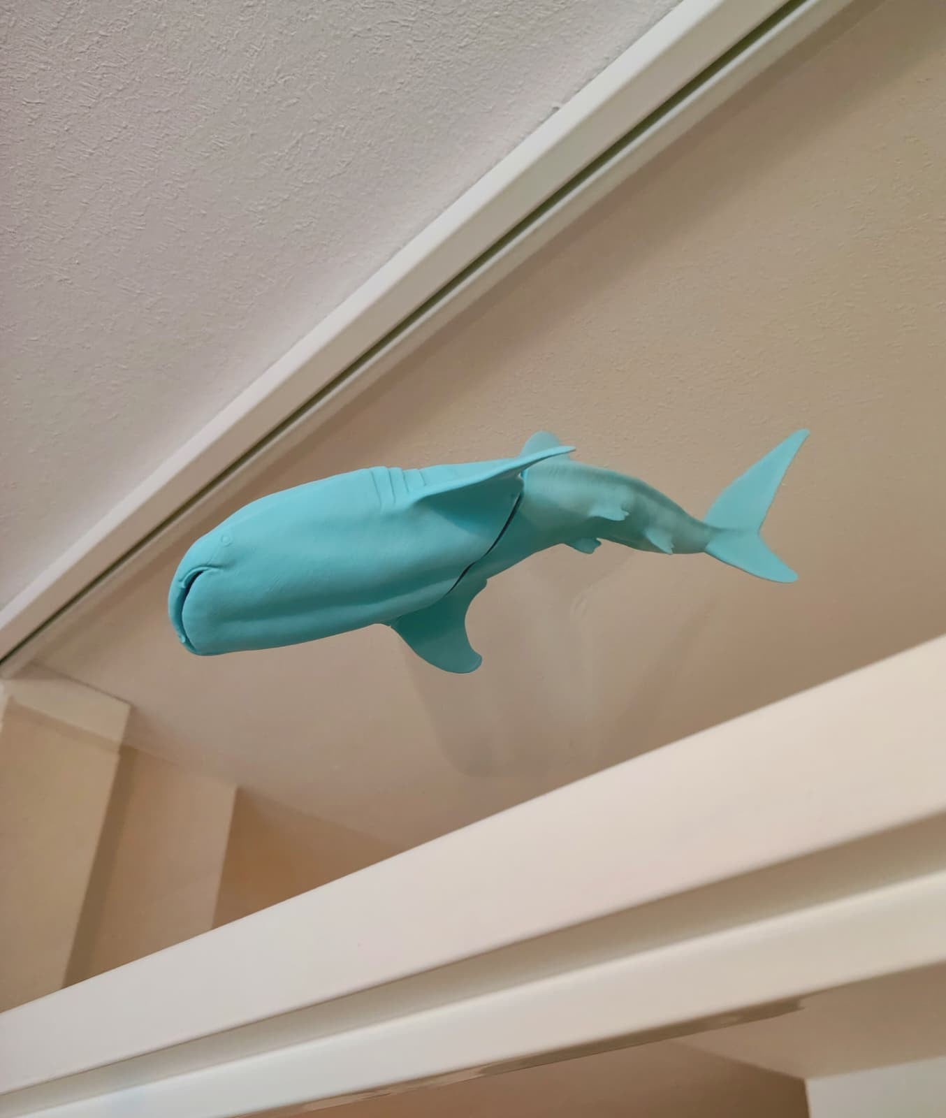 Whaleshark window art - Ocean blue