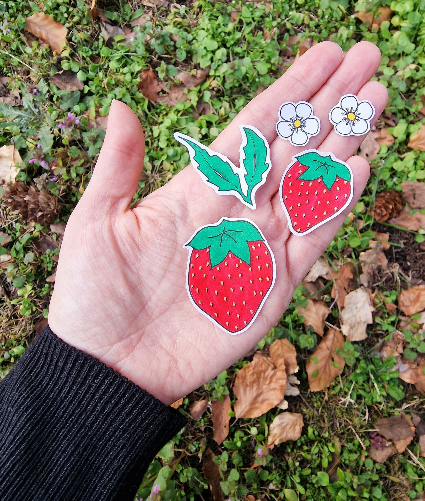 Hand getekende Sticker set, Aardbeien, Blaadjes en Bloemen, Groen Rood