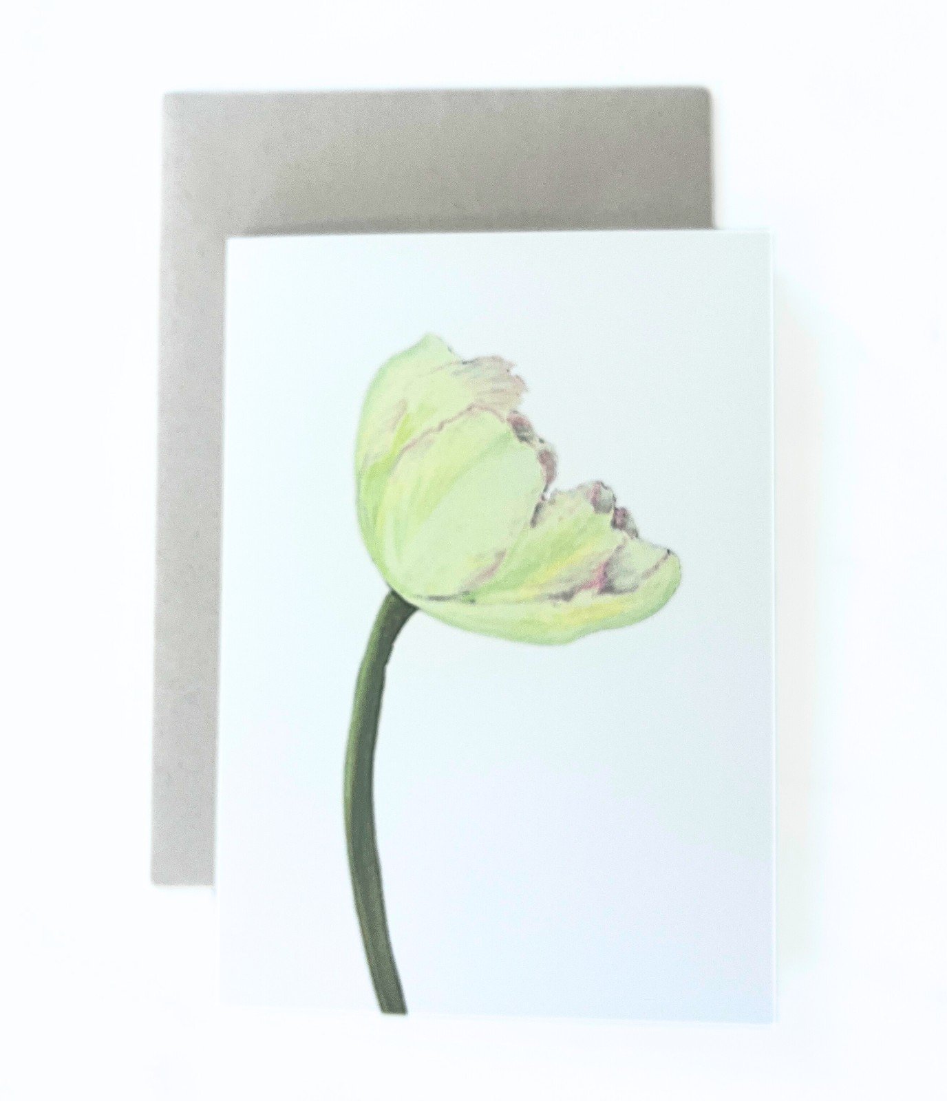 Wenskaart 'Lichtgele tulp' - 93386 Wenskaart 'Lichtgele tulp'