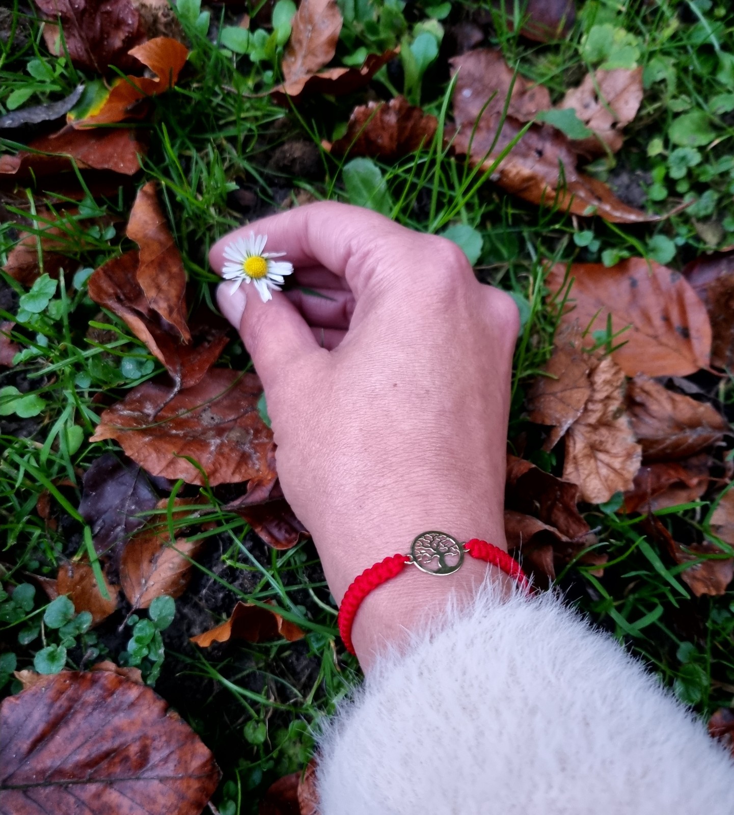 Armband met 14 karaat geelgouden Levensboom