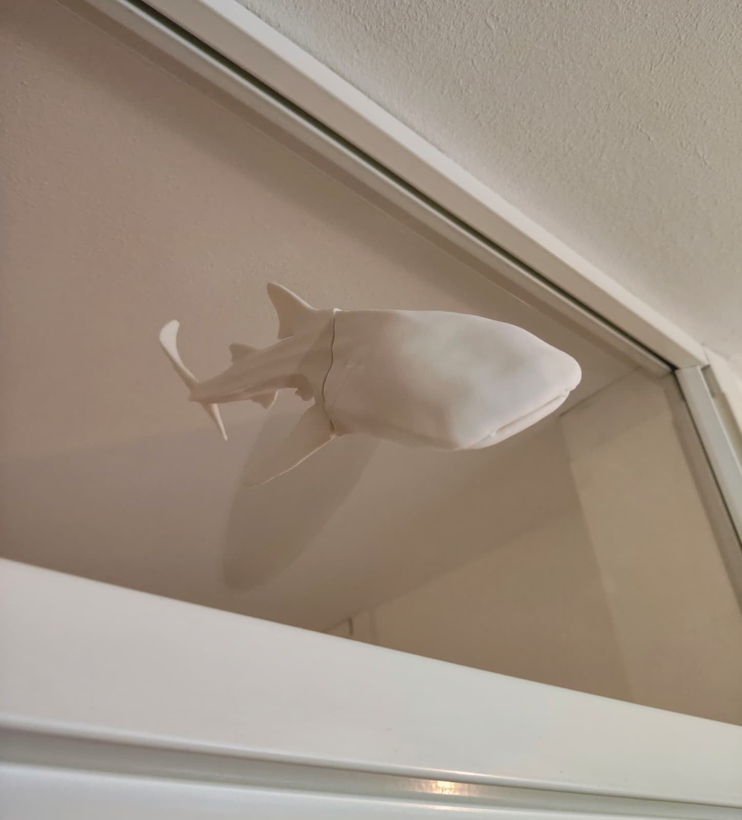 Whaleshark window art - White