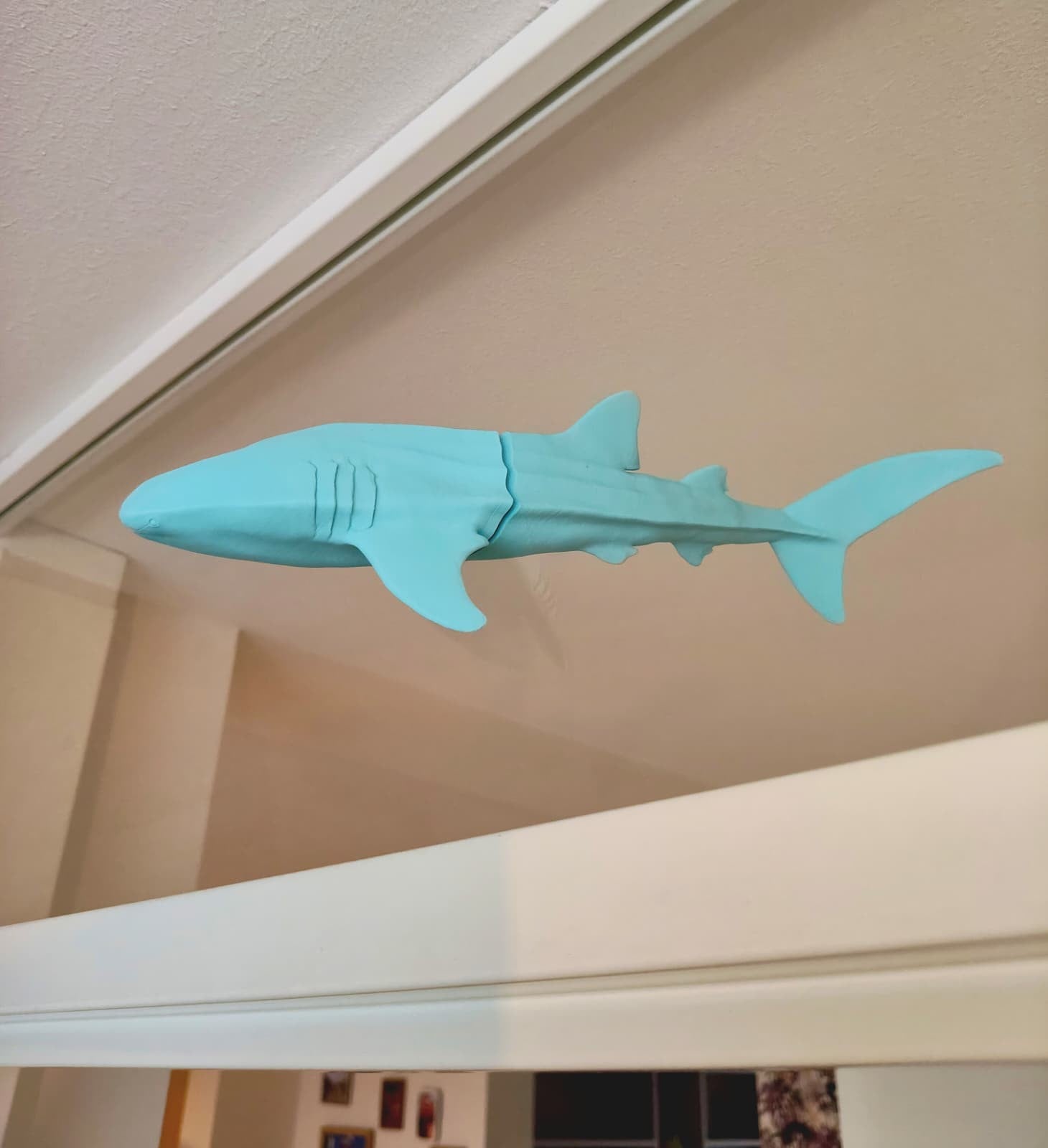Whaleshark window art - Ocean blue