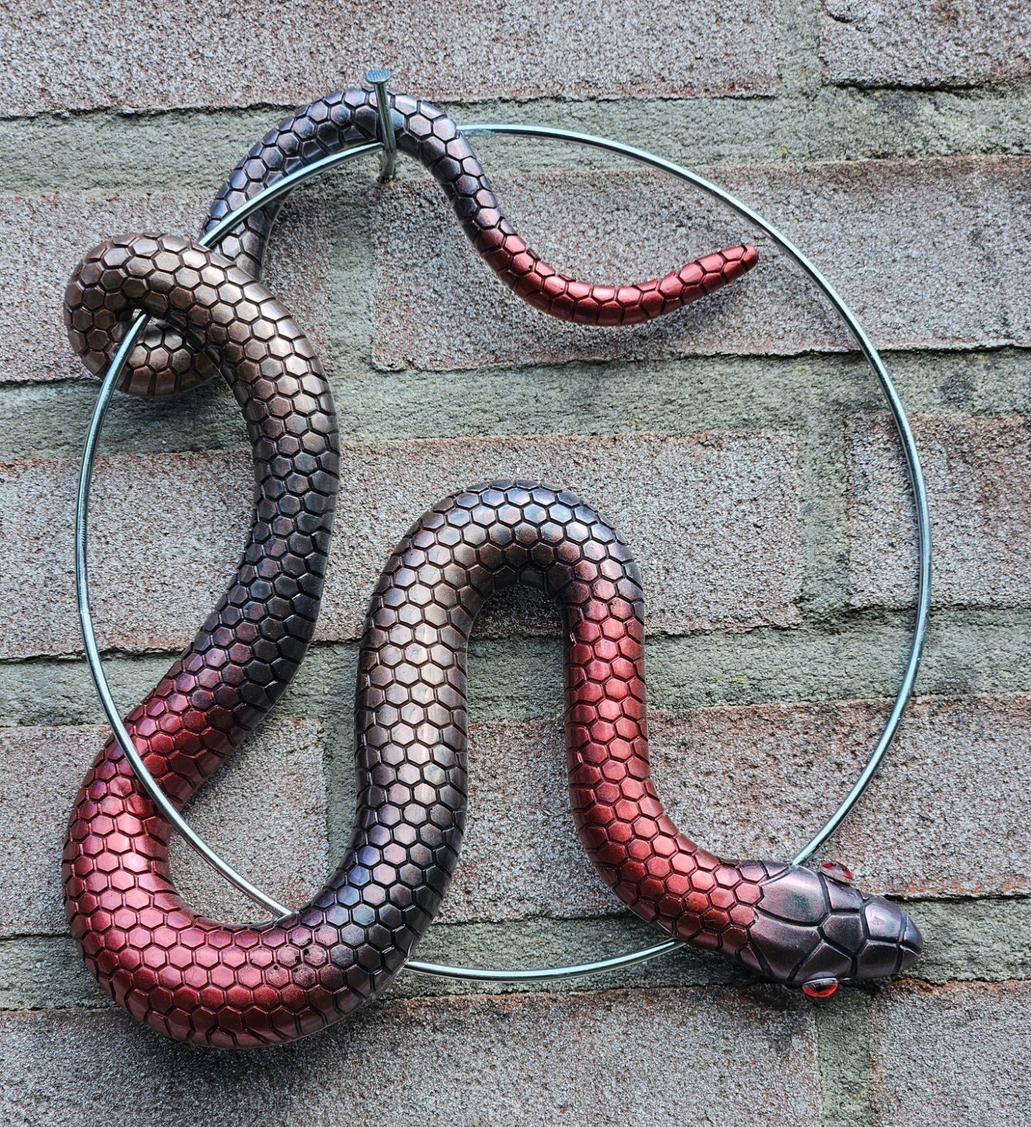 Handgemaakt epoxy slang cirkel "Ziggy the Snake" Cirkel Metallic dive… - 99774 Handgemaakt epoxy slang cirkel "Ziggy the Snake" Cirkel Metallic diverse kleuren