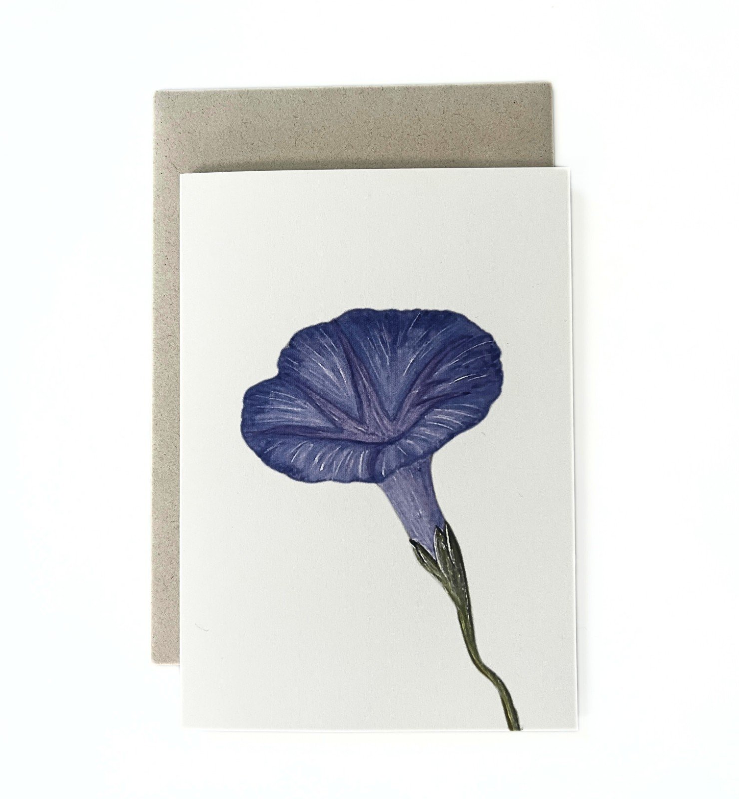 Wenskaart geboortebloem september 'Dagwinde'