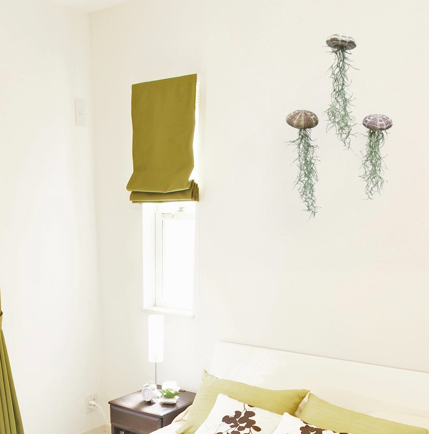 Set van drie Jellyfish luchtplantjes met Alfonso zee-egels en Spaans mos.