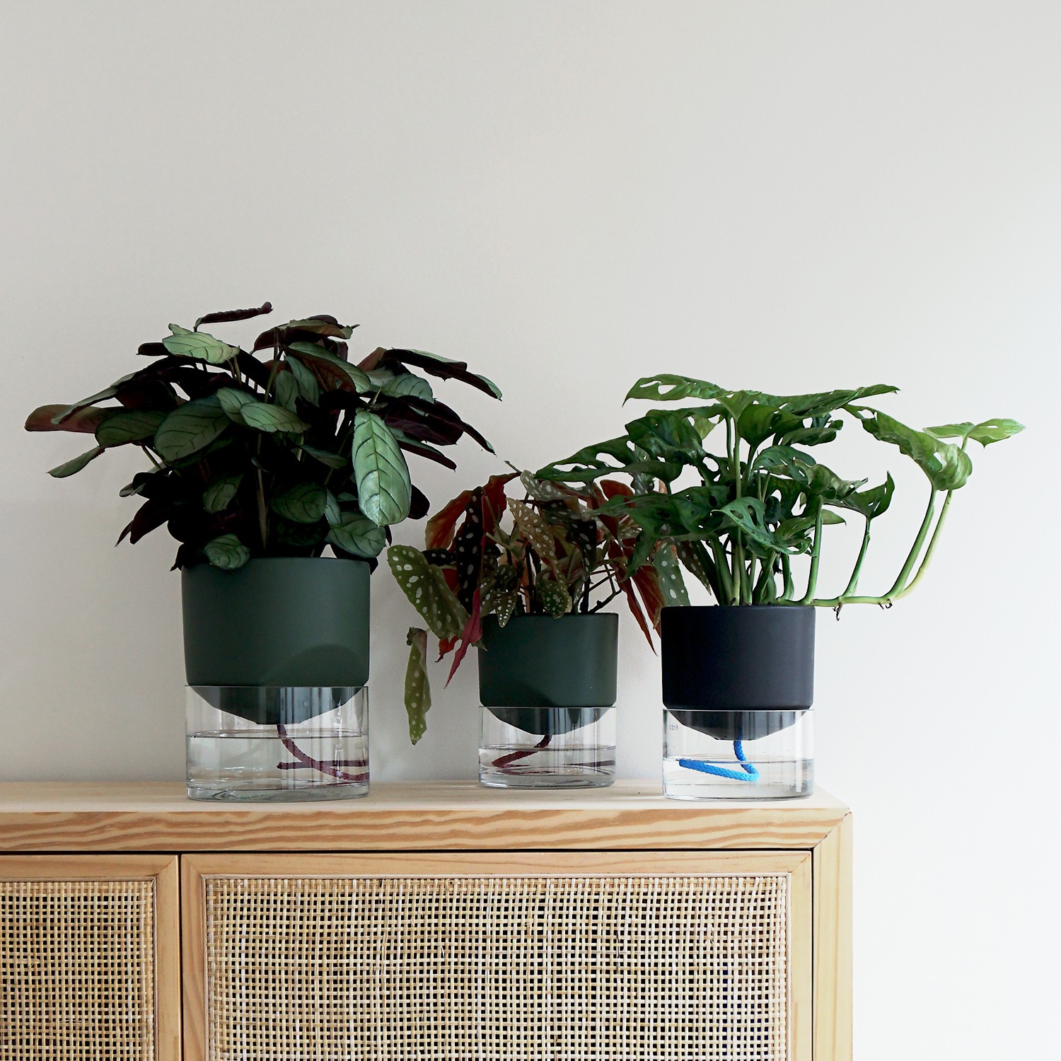 Kapi growing set: Small + Big flowerpot | Green