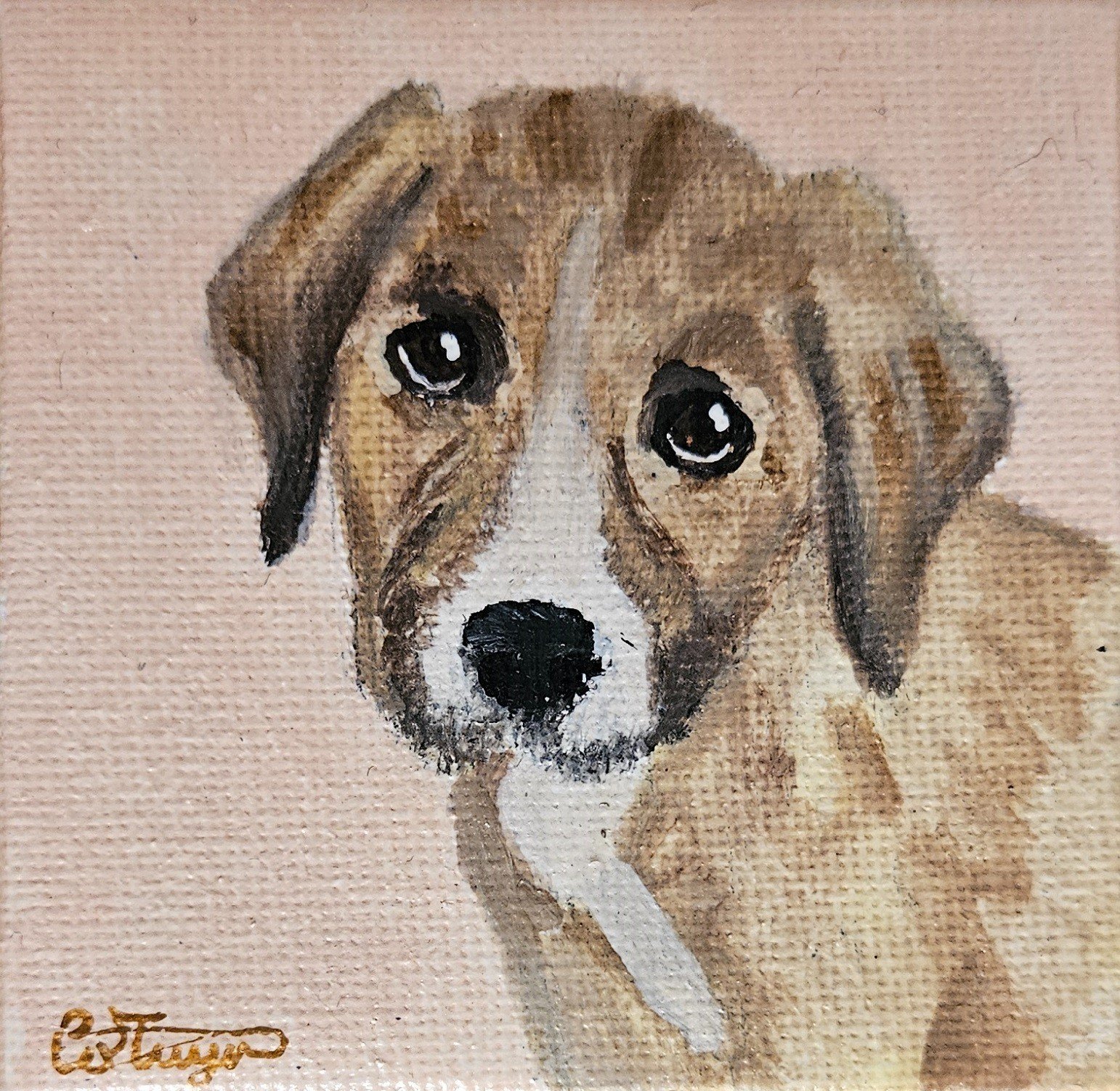 Gepersonaliseerd hondenportret kruising/mix/vuilnisbakkenras