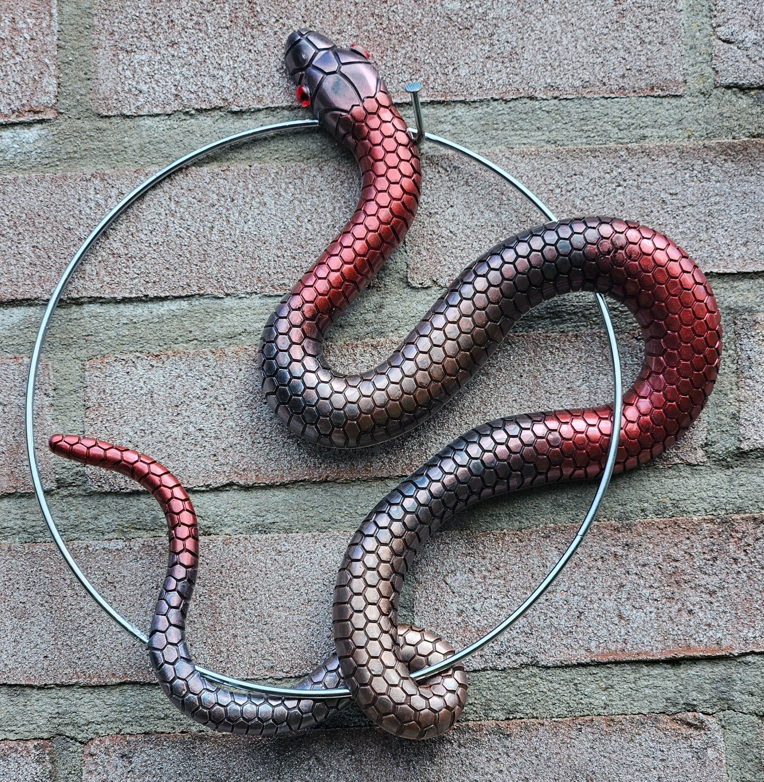 Handgemaakt epoxy slang cirkel "Ziggy the Snake" Cirkel Metallic dive… - 99772 Handgemaakt epoxy slang cirkel "Ziggy the Snake" Cirkel Metallic diverse kleuren