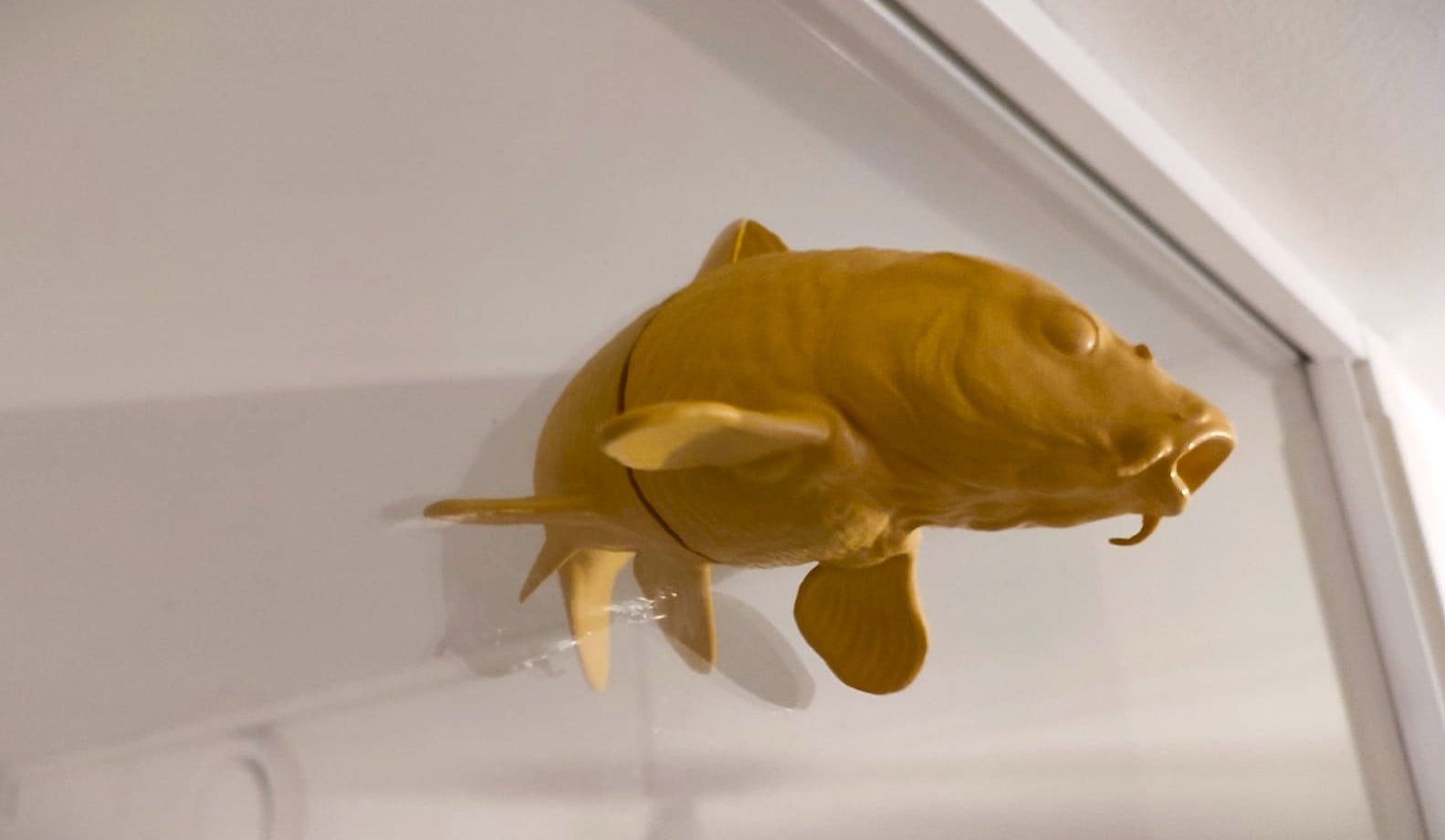 Golden Koi fish window art