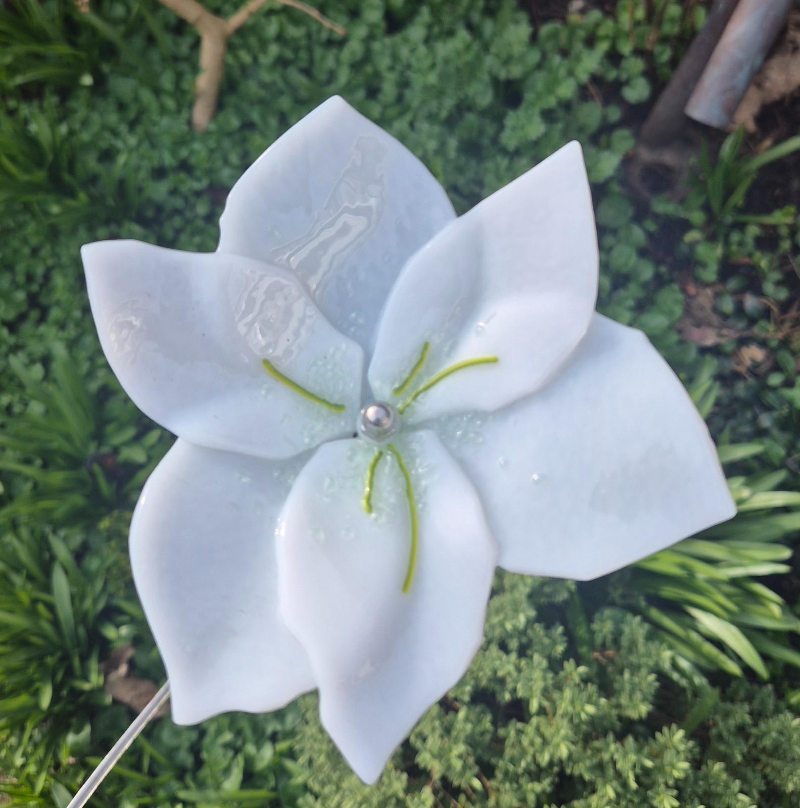 Glasbloem: amaryllis op rvs stang