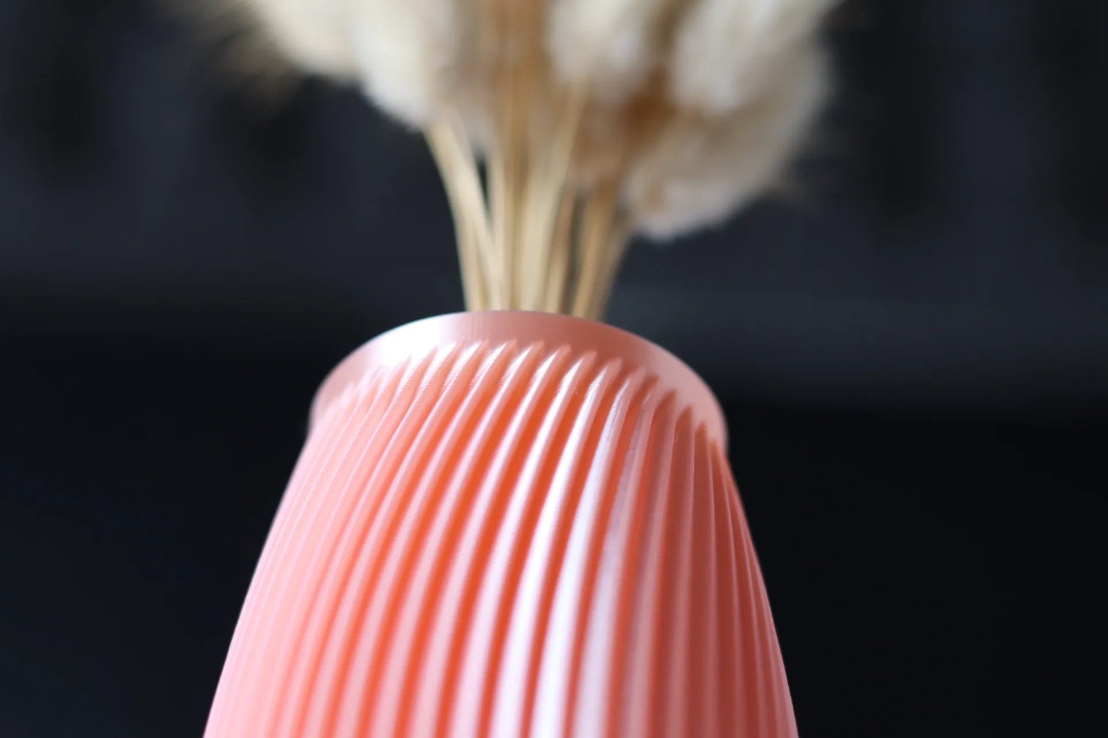 Roberta Vaas - 73991.jpeg Roberta Vaas