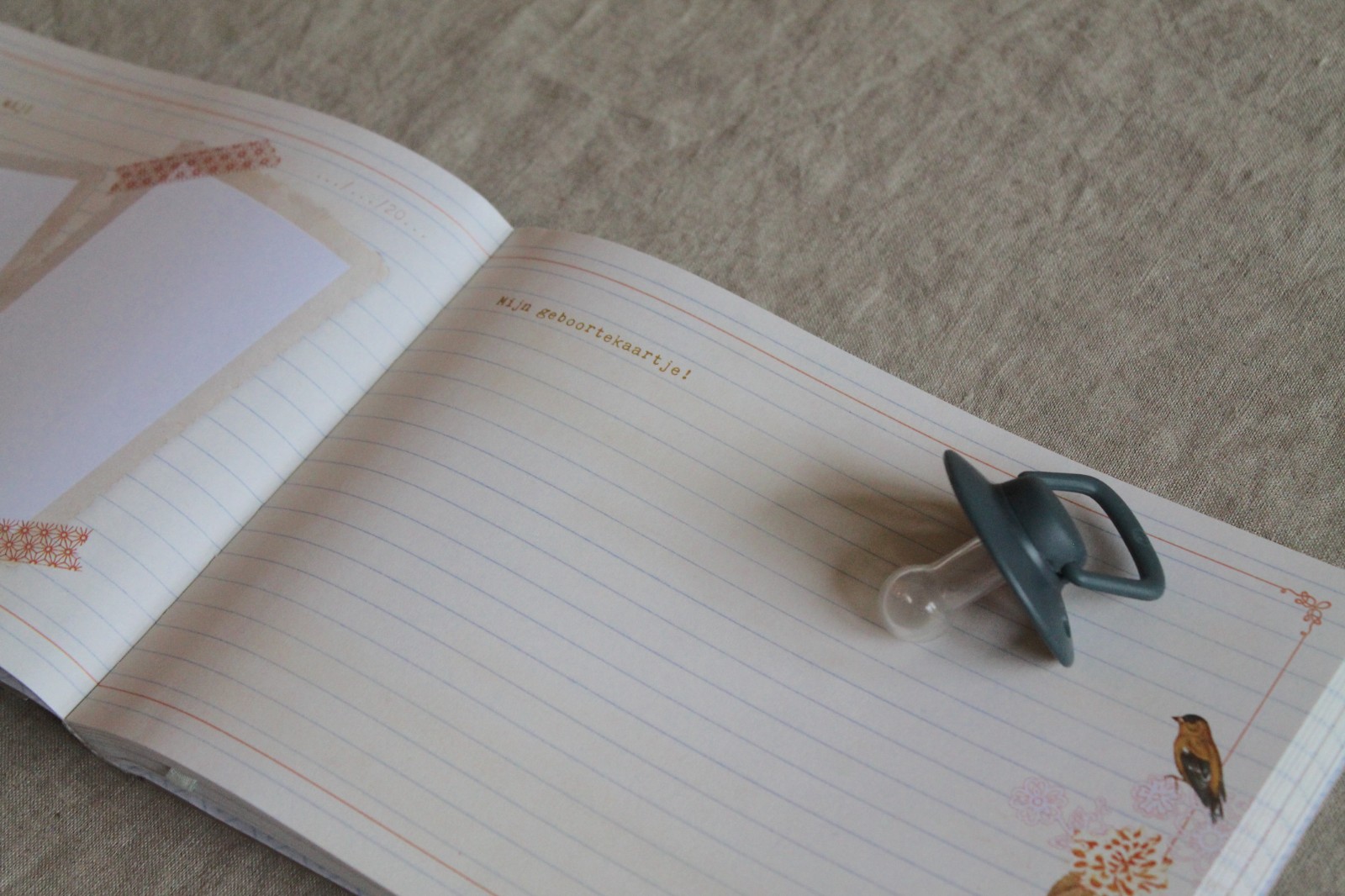 Pimpelmees Baby's eerste dagboek - 136231 Pimpelmees Baby's eerste dagboek