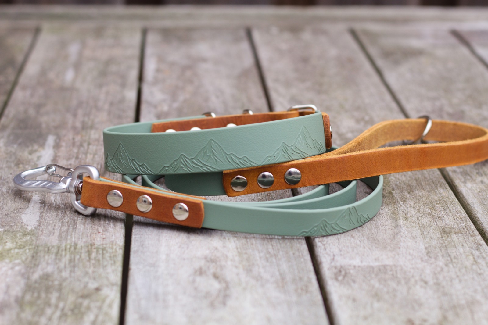 Handgemaakte Summit halsband en honden riem, luxe vetleer met Biothane - 149660 Handgemaakte Summit halsband en honden riem, luxe vetleer met Biothane