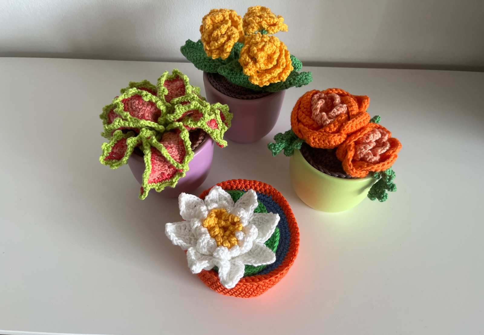 Kleurrijke gehaakte plantjes - 143920 Kleurrijke gehaakte plantjes