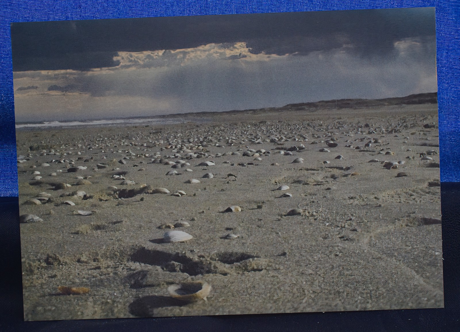 Ansichtkaart set van 5 designs