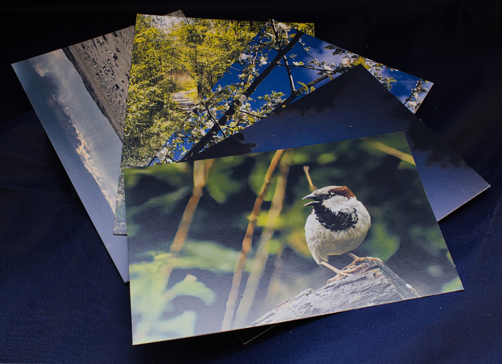 Ansichtkaart set van 5 designs