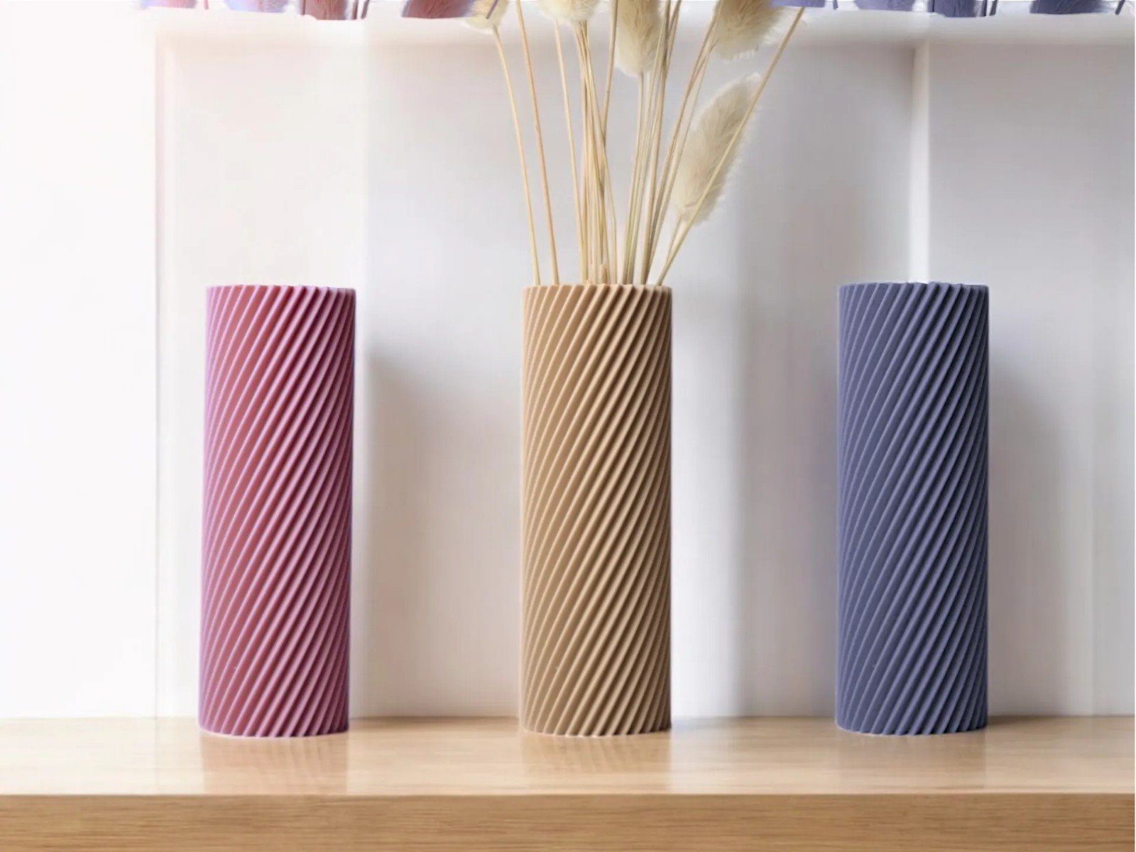 Silvia Vaas - 73589.jpeg Silvia Vaas