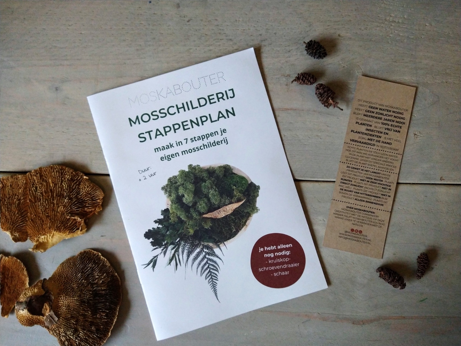 mosschilderij DIY-pakket 'Forest Vibes'