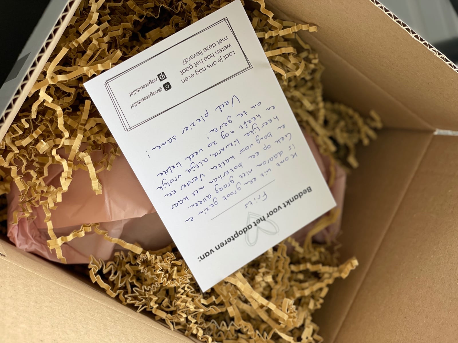 Pre-Loved knuffel dino Stijn, knuffeldier, dinosaurus