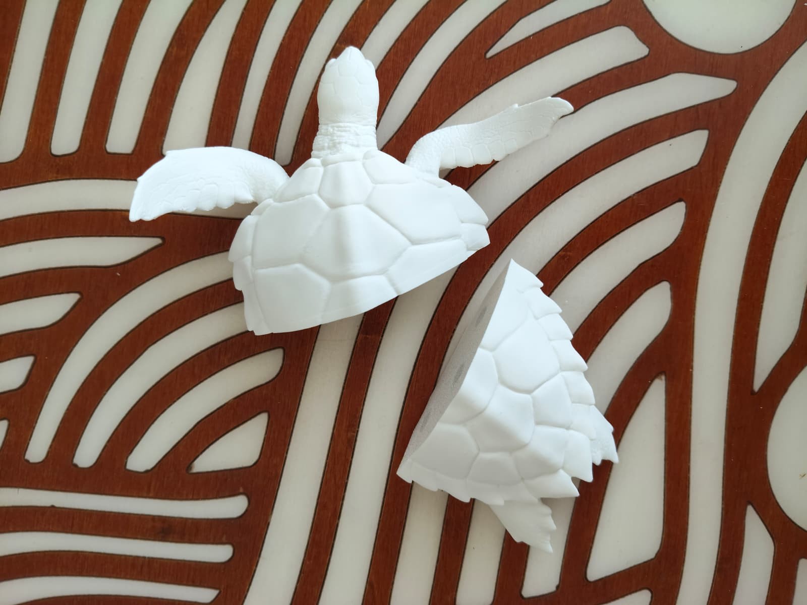 Magnetische schildpad raamdecoratie