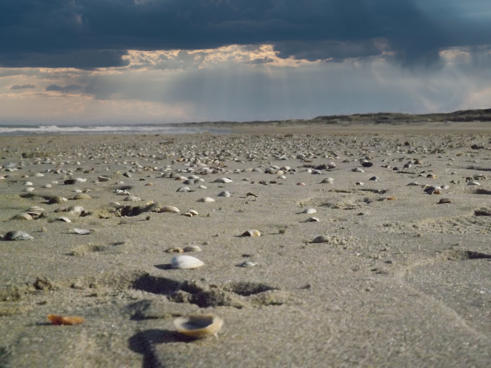 Ansichtkaart verlaten strand — set van 5
