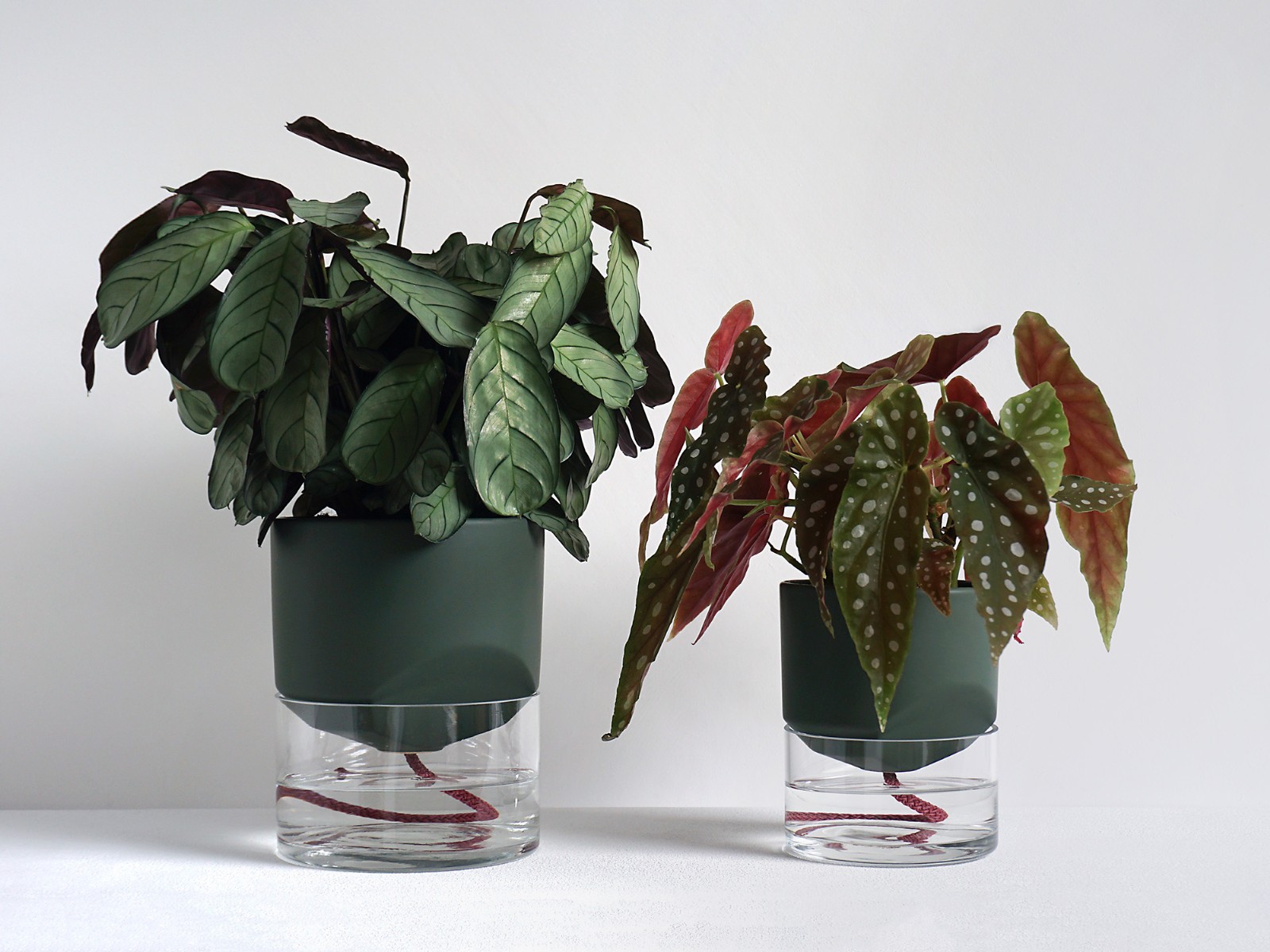 Kapi growing set: Small + Big flowerpot | Green