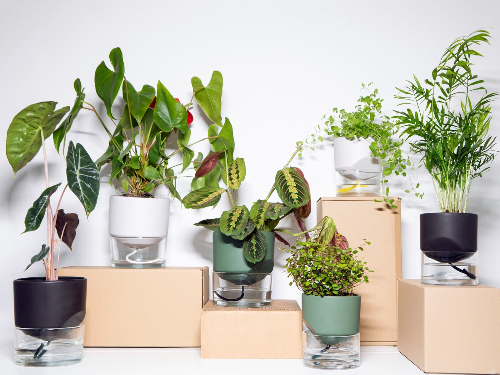 Kapi growing set: Small + Big flowerpot | Pebble