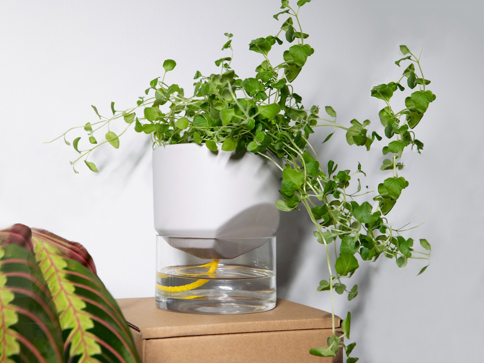 Kapi growing set: Small + Big flowerpot | Pebble