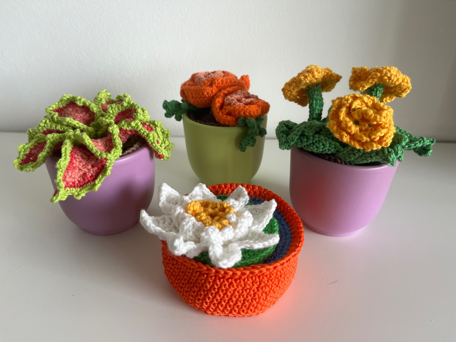 Kleurrijke gehaakte plantjes - 143922 Kleurrijke gehaakte plantjes