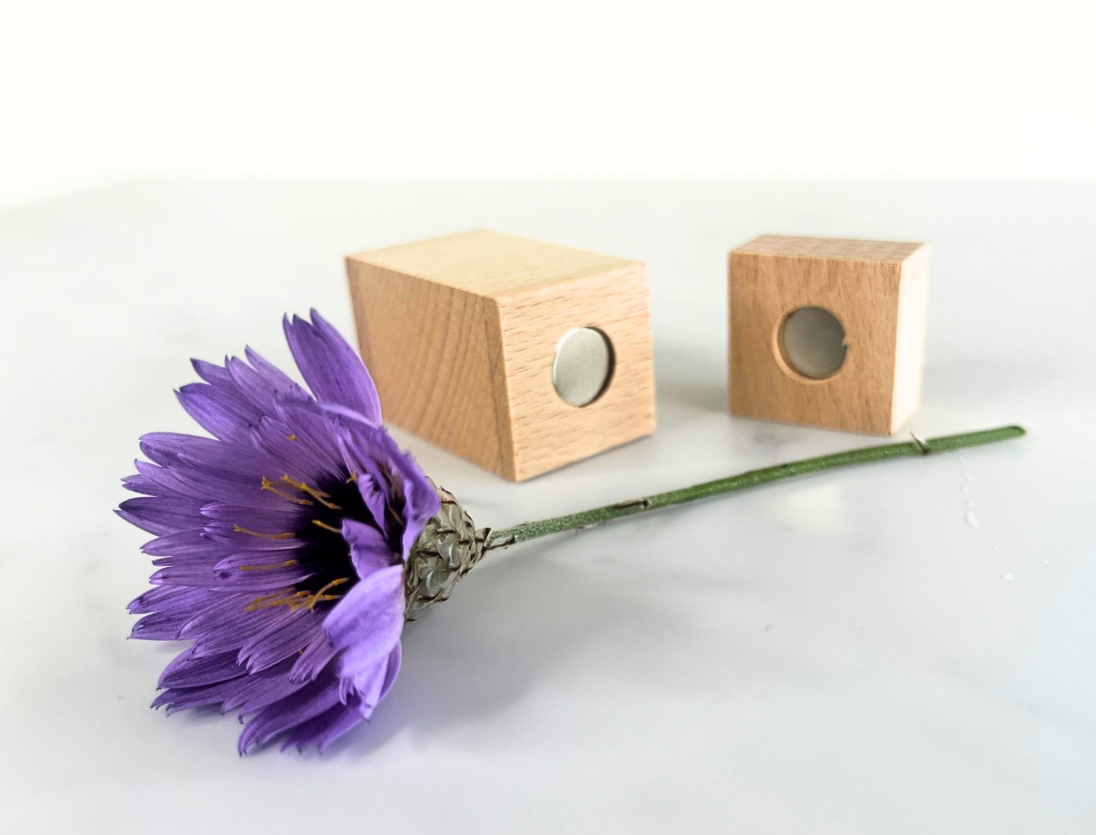 Kaartenhouder 'Hold It Klik'