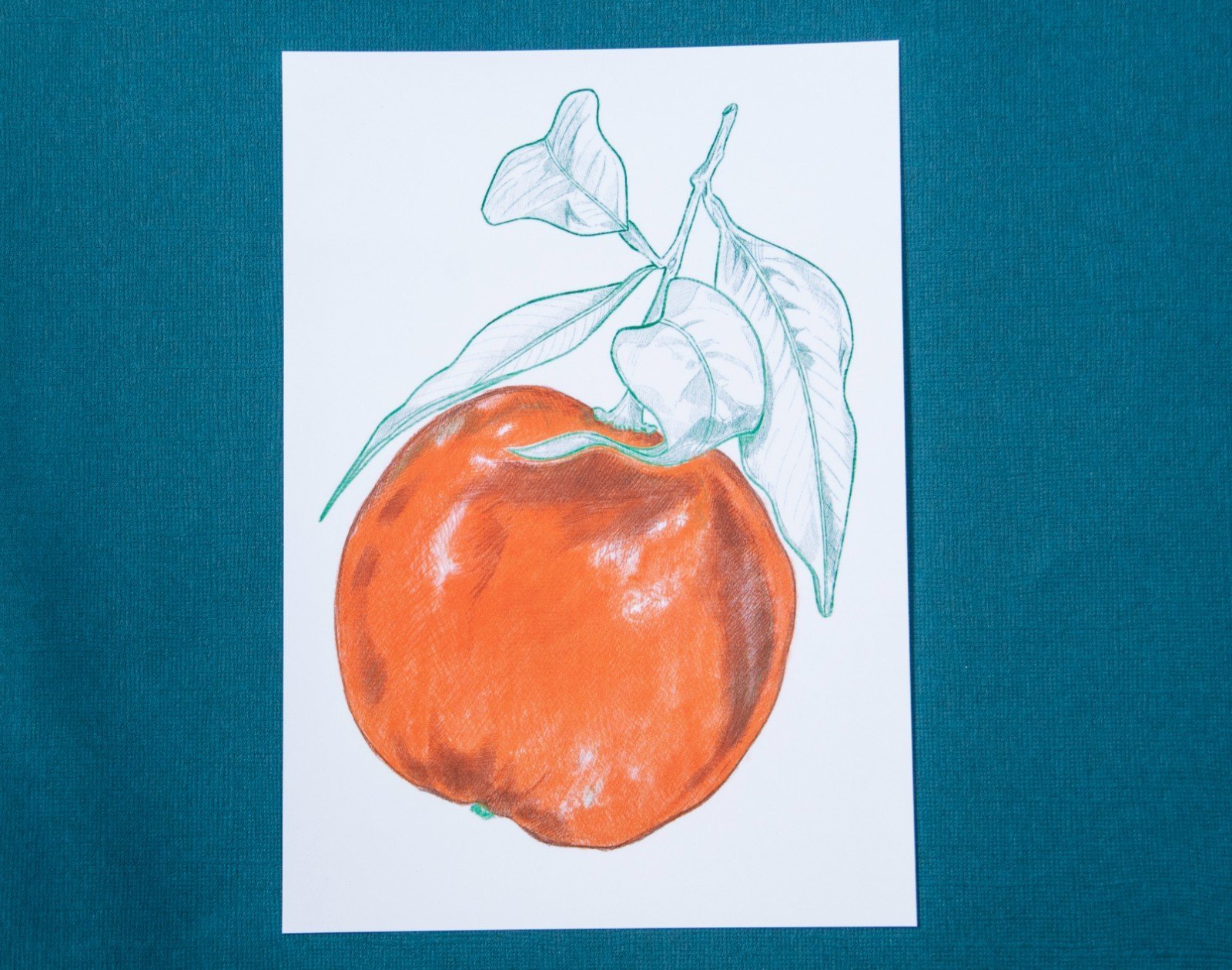 Sinaasappel A5 Print, Pen en Potlood Tekening