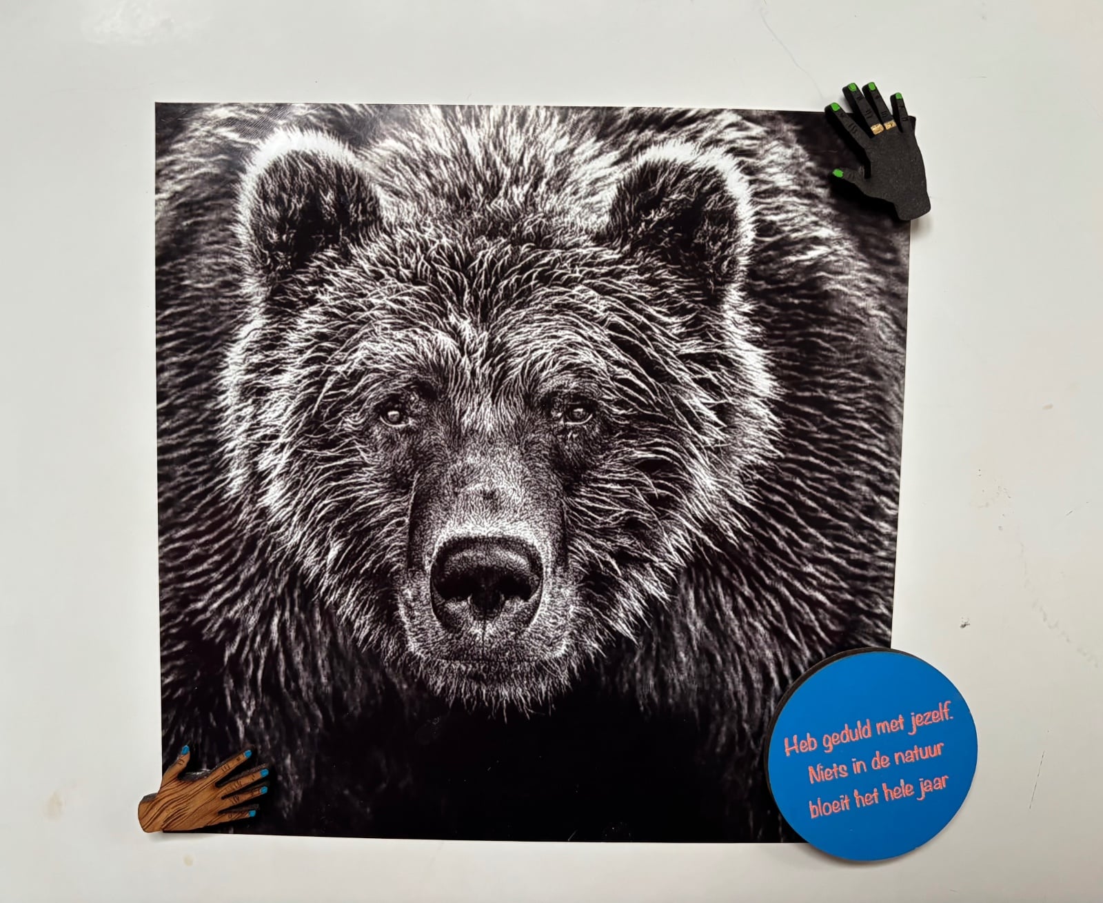 ‘Belgische handjes’ magneten