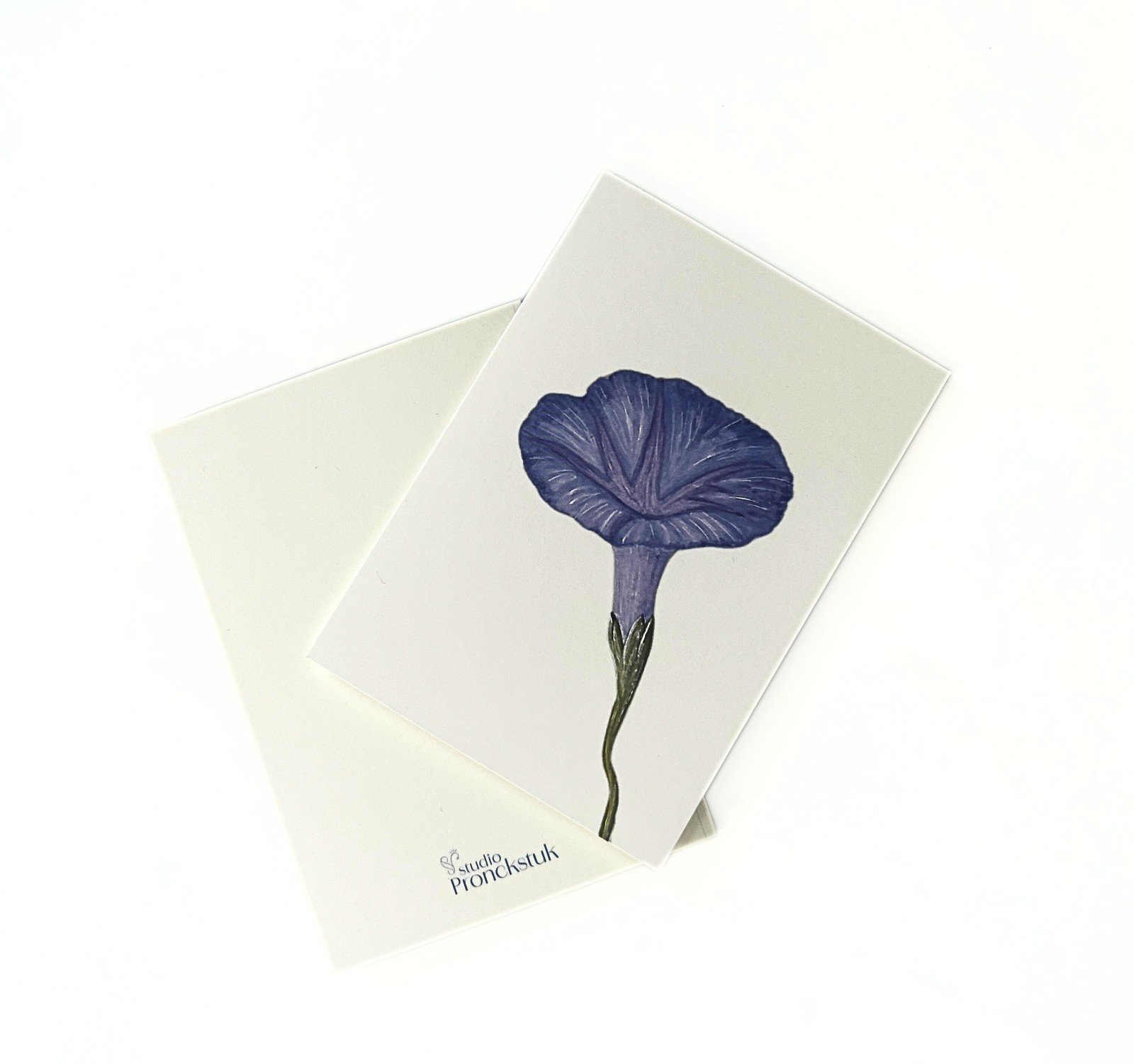 Wenskaart geboortebloem september 'Dagwinde'