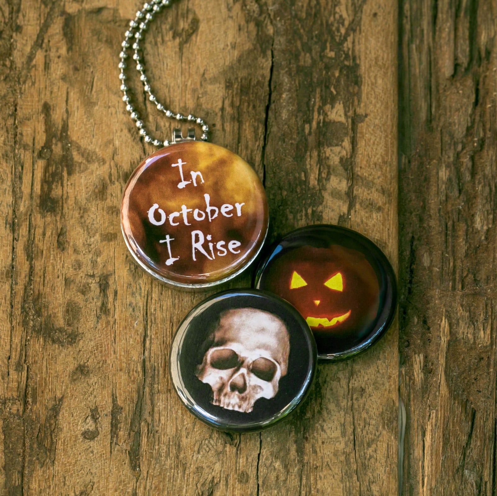 Roestvrij stalen fotomedaillon ketting met drie verschillende verwiss… - 94583 Roestvrij stalen fotomedaillon ketting met drie verschillende verwisselbare foto`s van griezelige halloween items,spannende,halloween ketting.