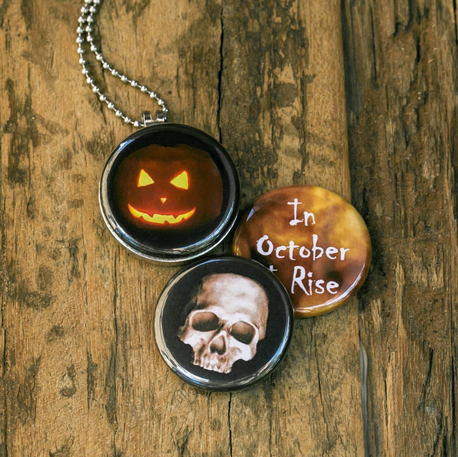 Roestvrij stalen fotomedaillon ketting met drie verschillende verwiss… - 94582 Roestvrij stalen fotomedaillon ketting met drie verschillende verwisselbare foto`s van griezelige halloween items,spannende,halloween ketting.