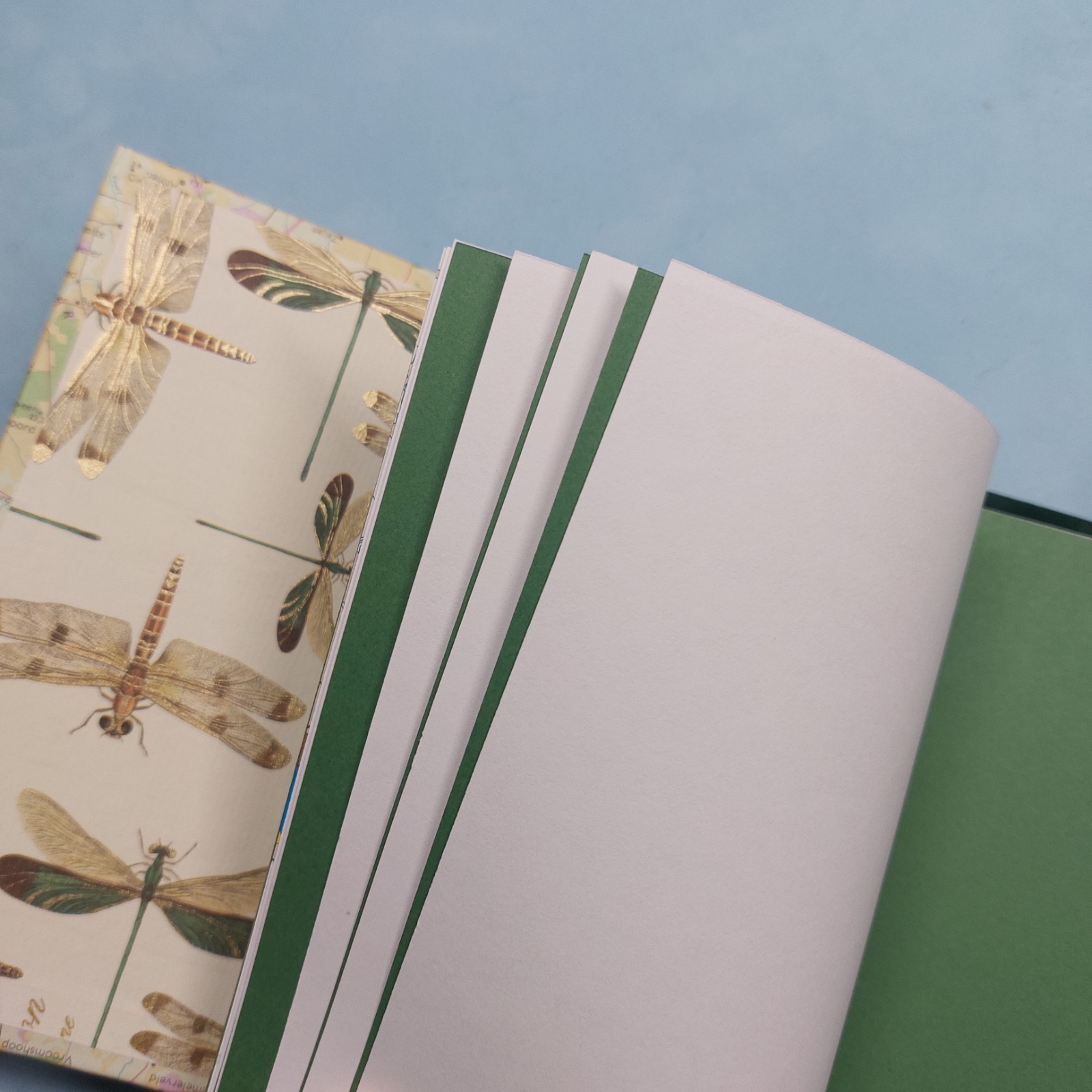 Reisboekje / Traveljournal - Drenthe (donker groen)