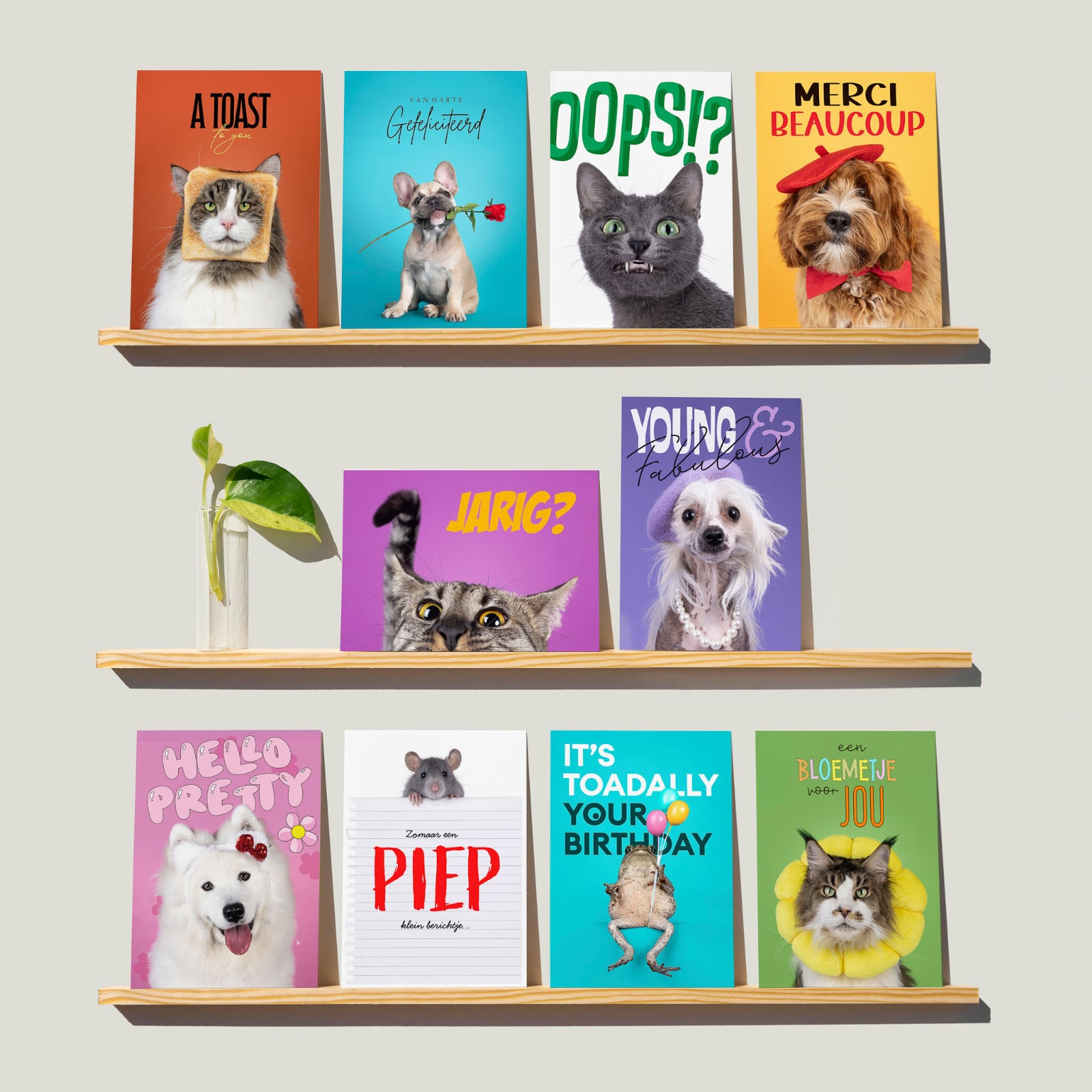 Set van 10 grote kaarten met dieren