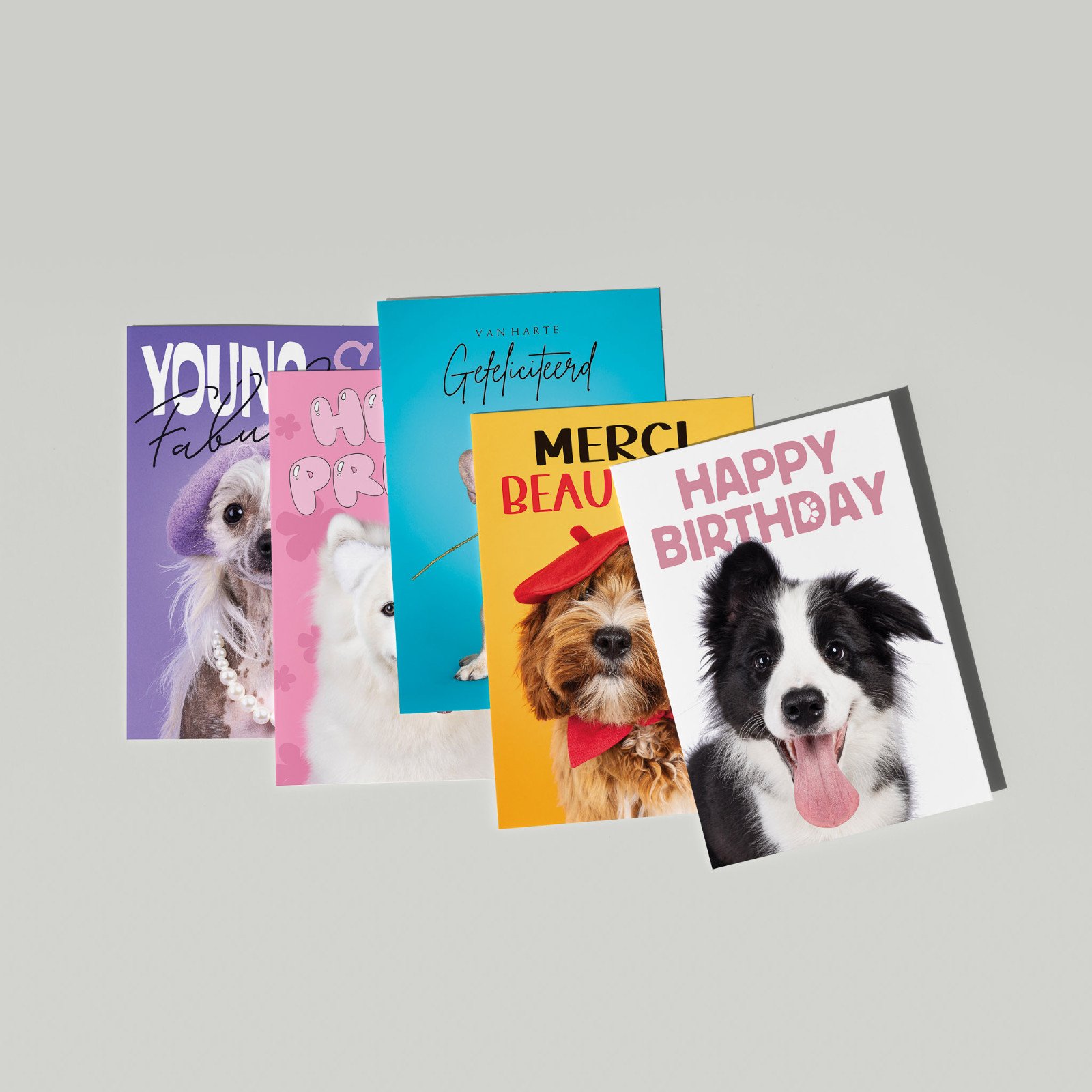 Set van 5 grote kaarten met honden - 67784.jpeg Set van 5 grote kaarten met honden